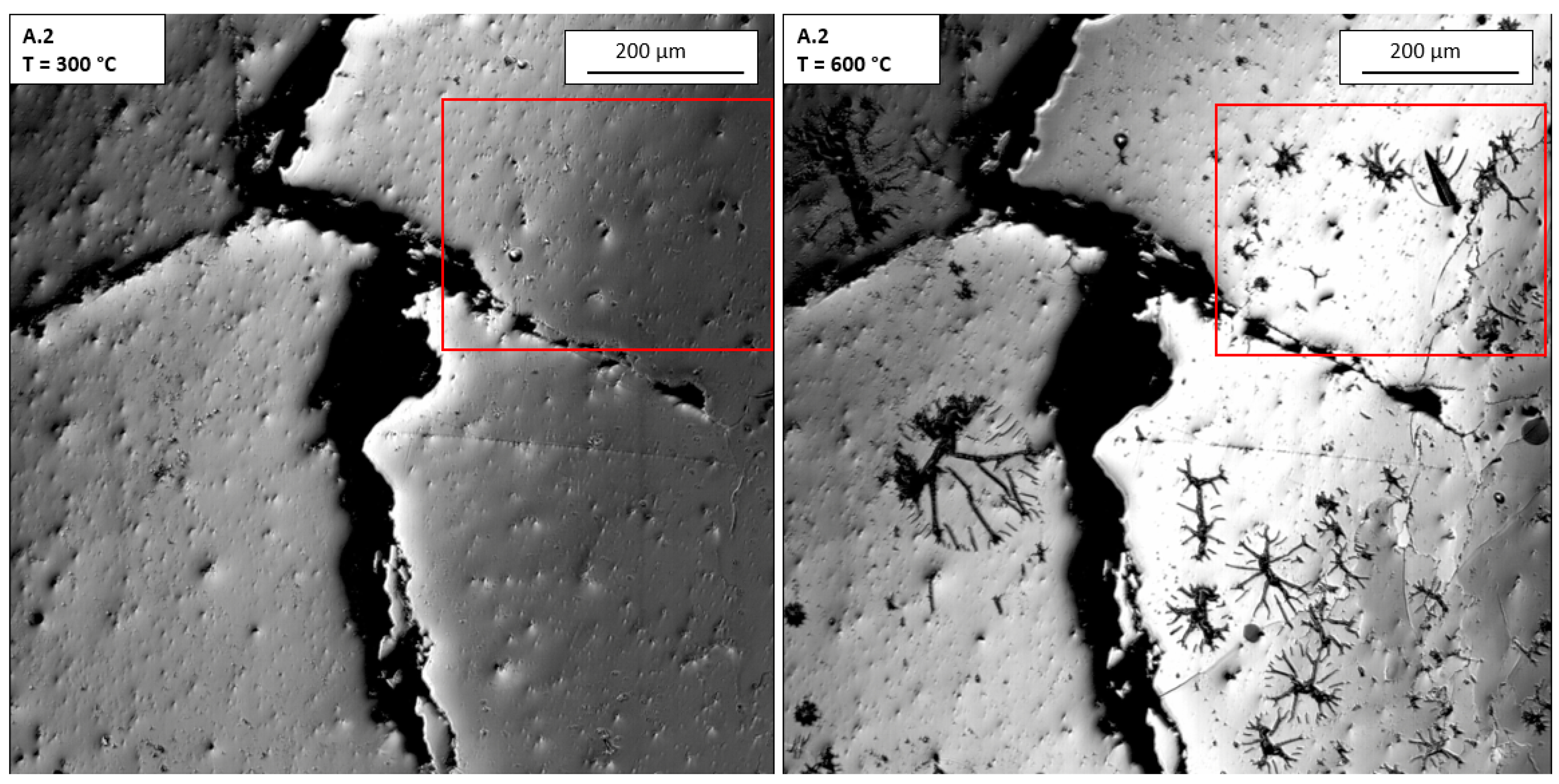 Minerals 13 00132 g007
