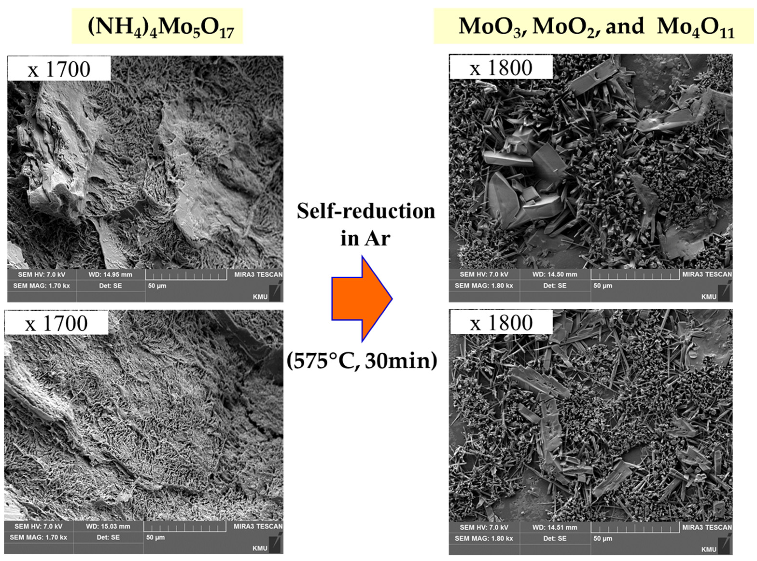 Minerals 13 00133 g007