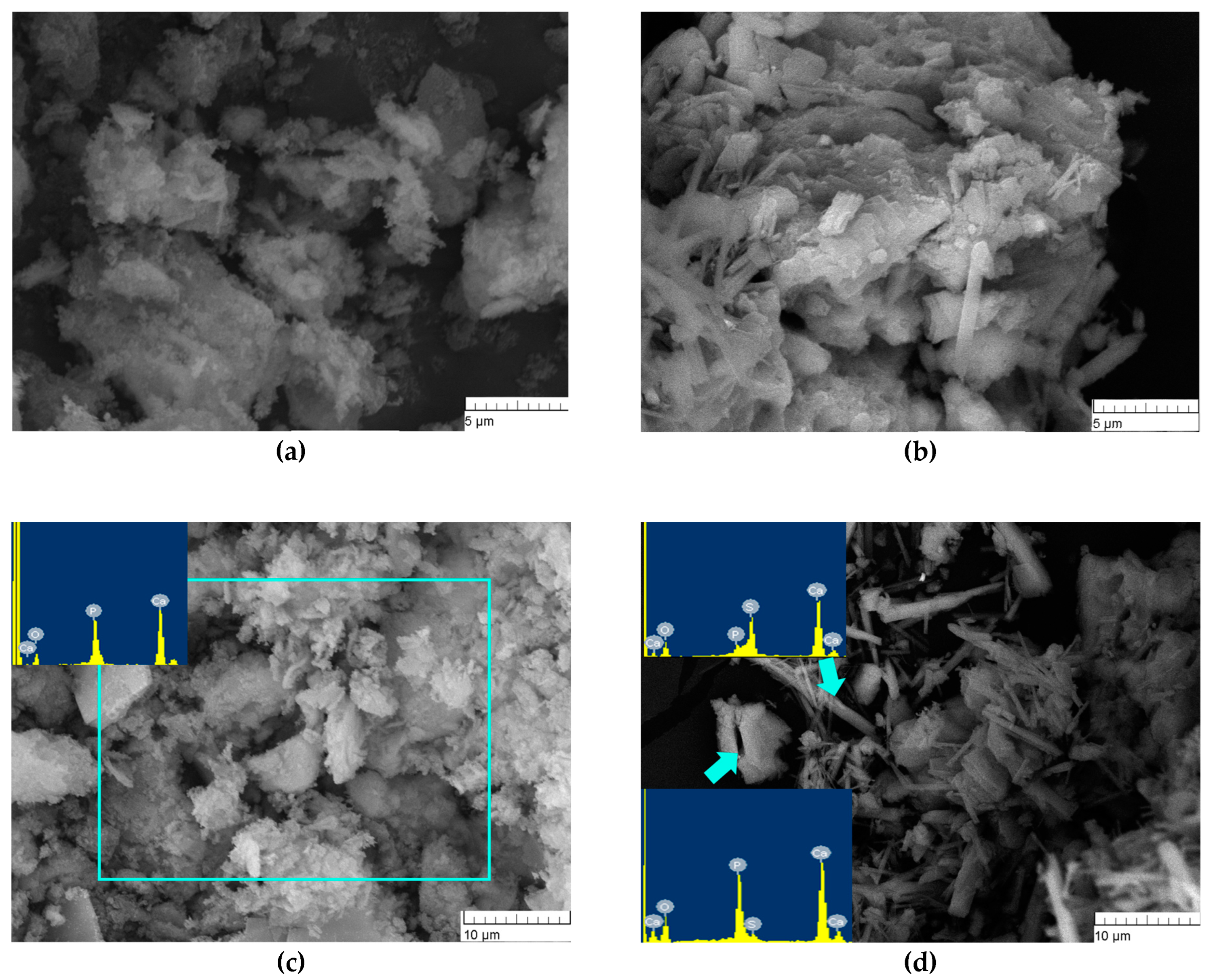 Minerals 13 00147 g005