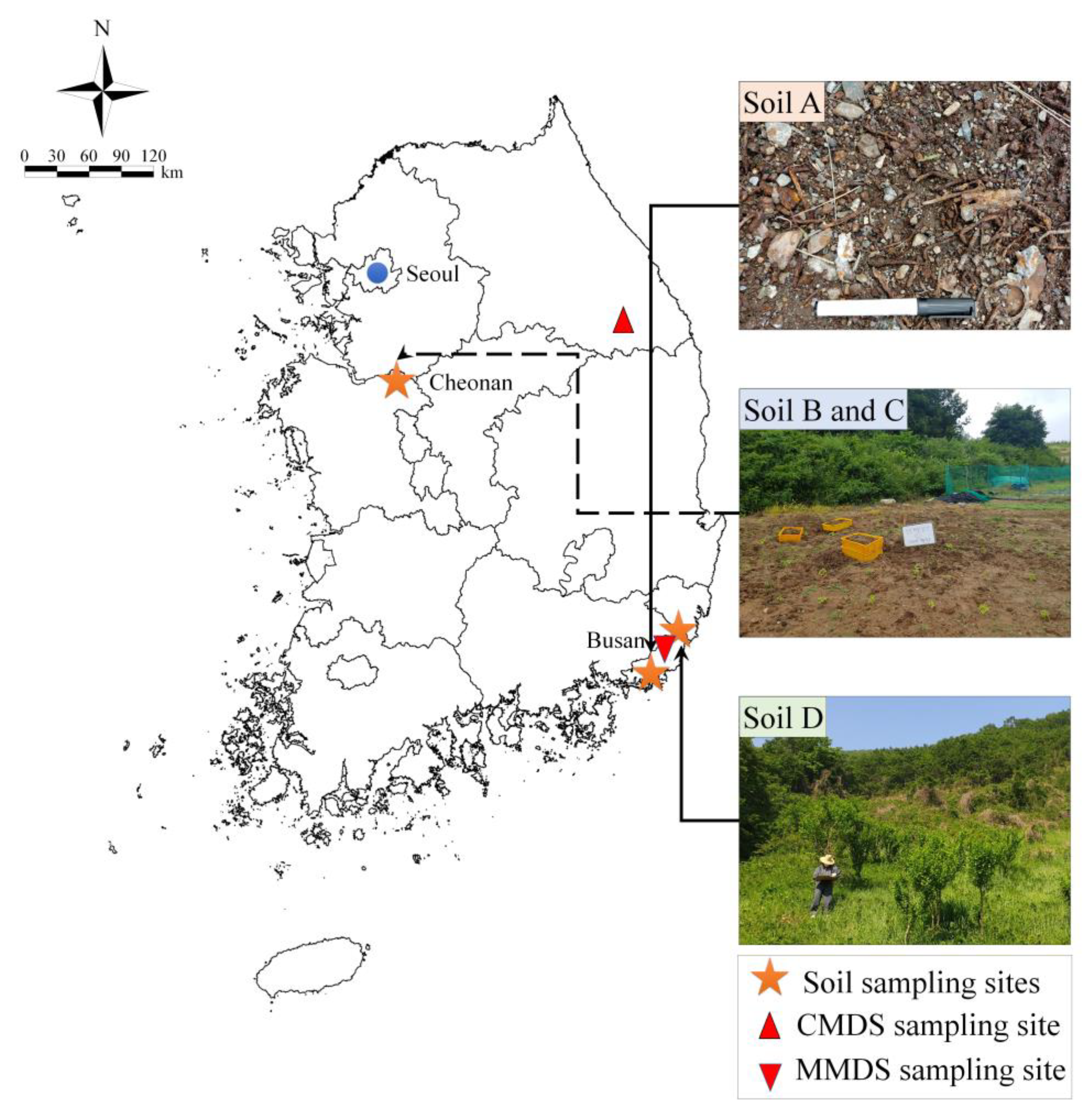 Minerals 13 00148 g001