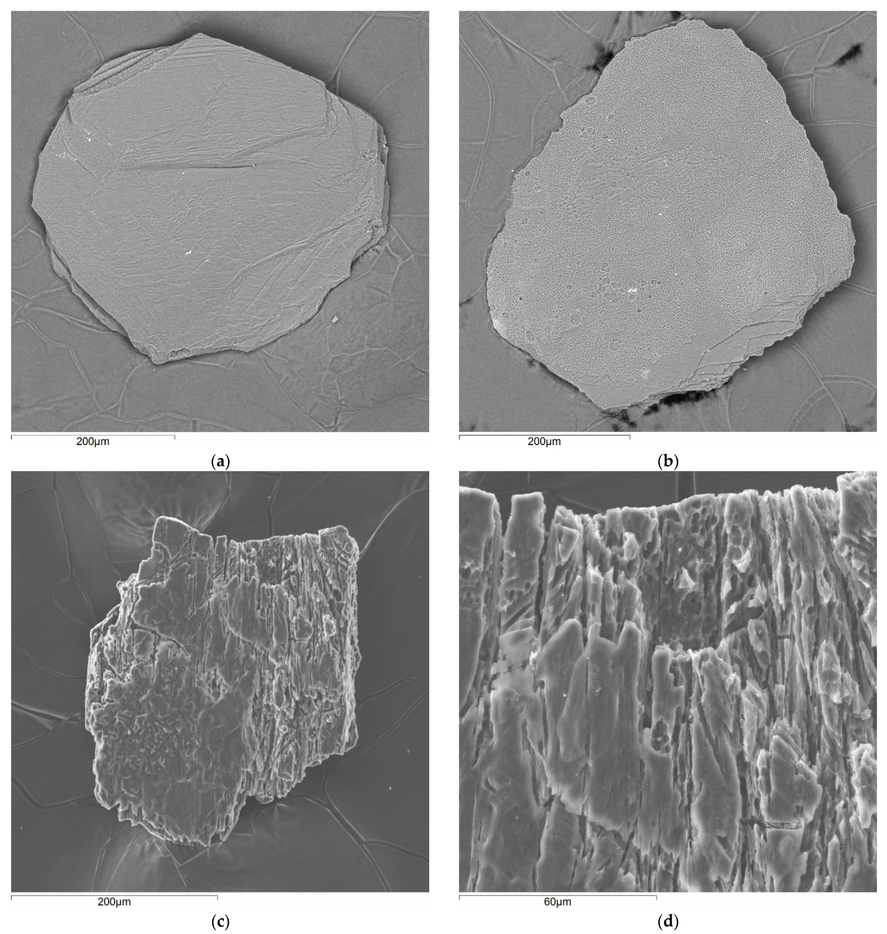 Minerals 13 00154 g002