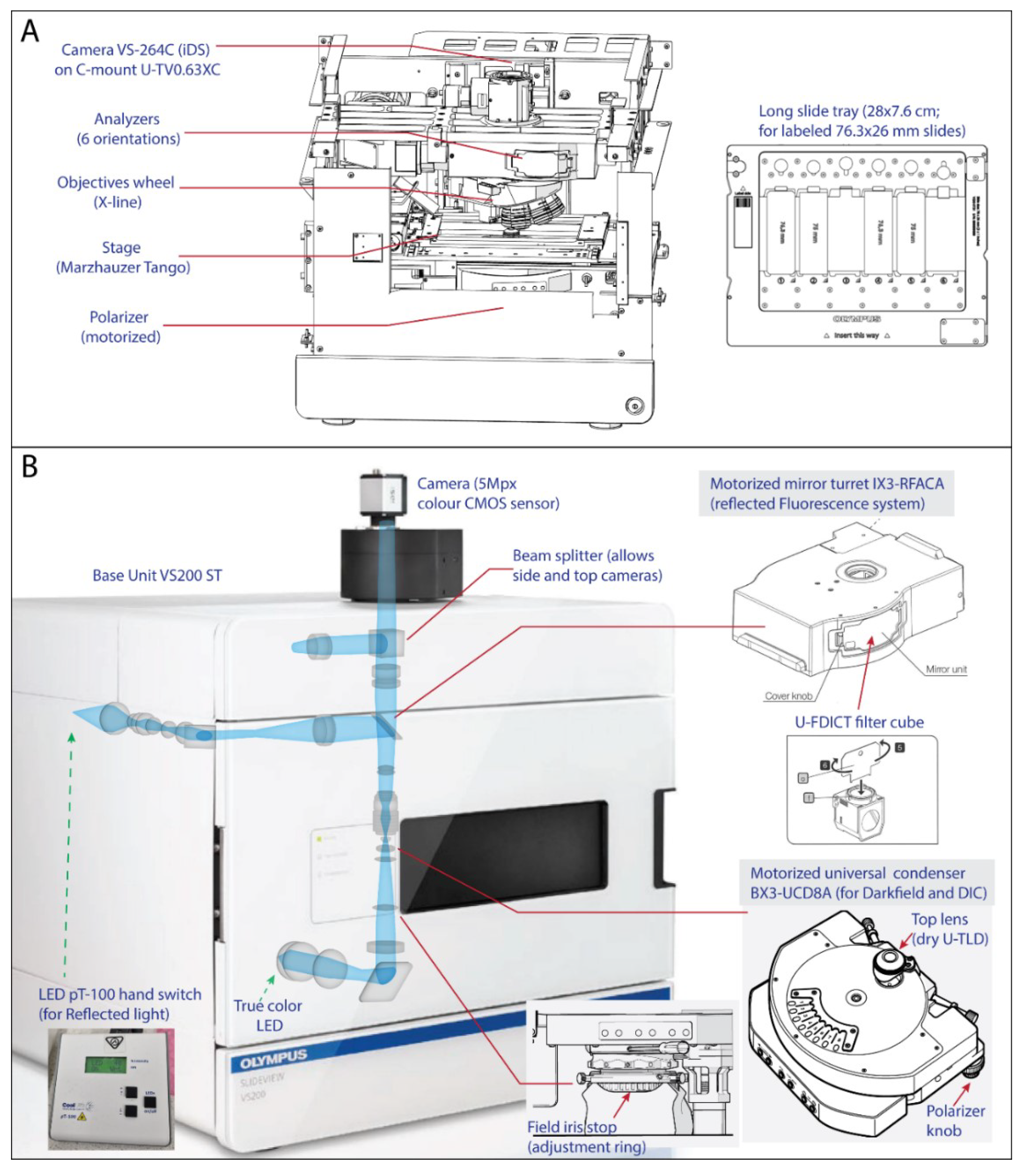 Minerals 13 00156 g001