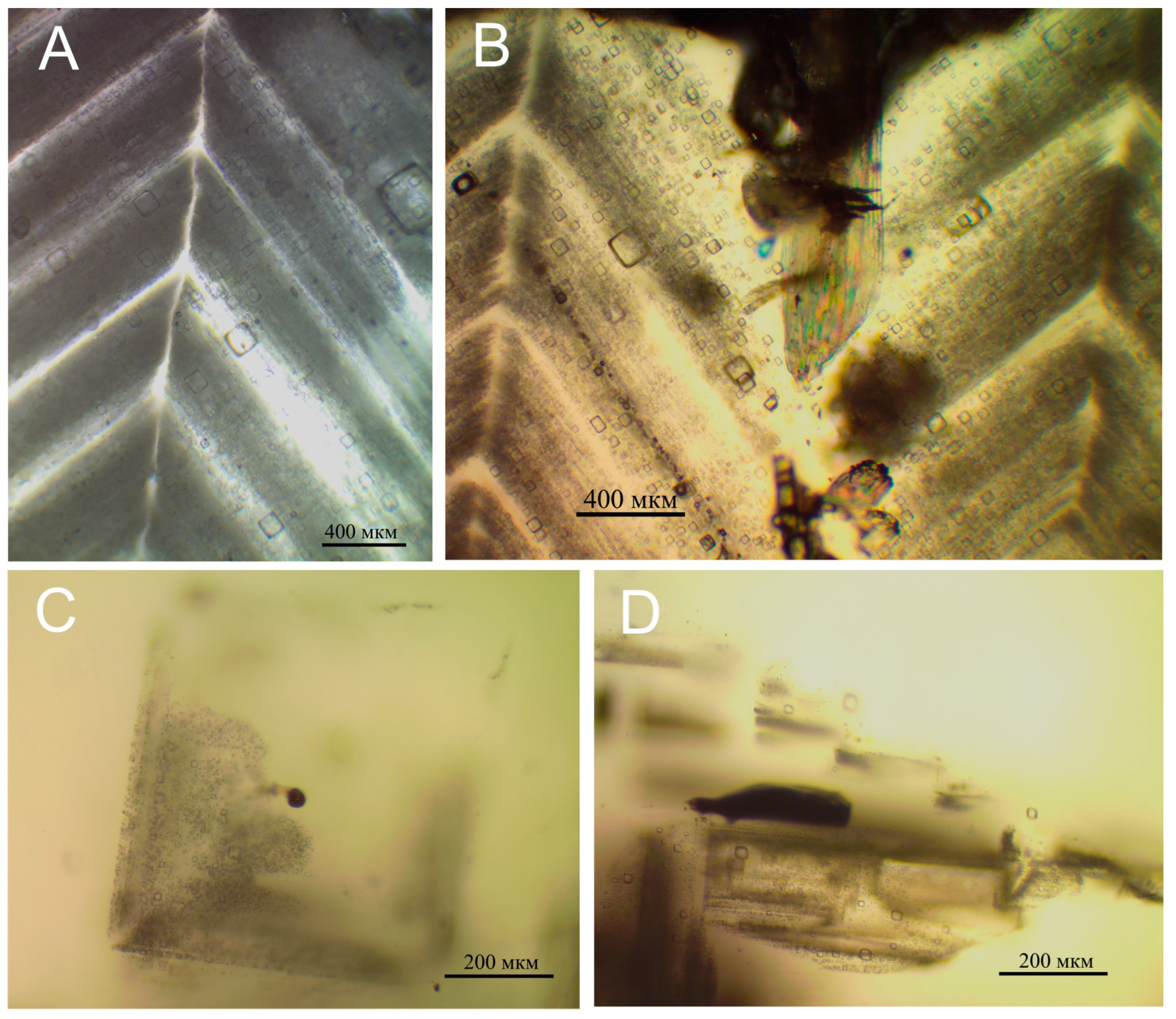 Minerals 13 00171 g003