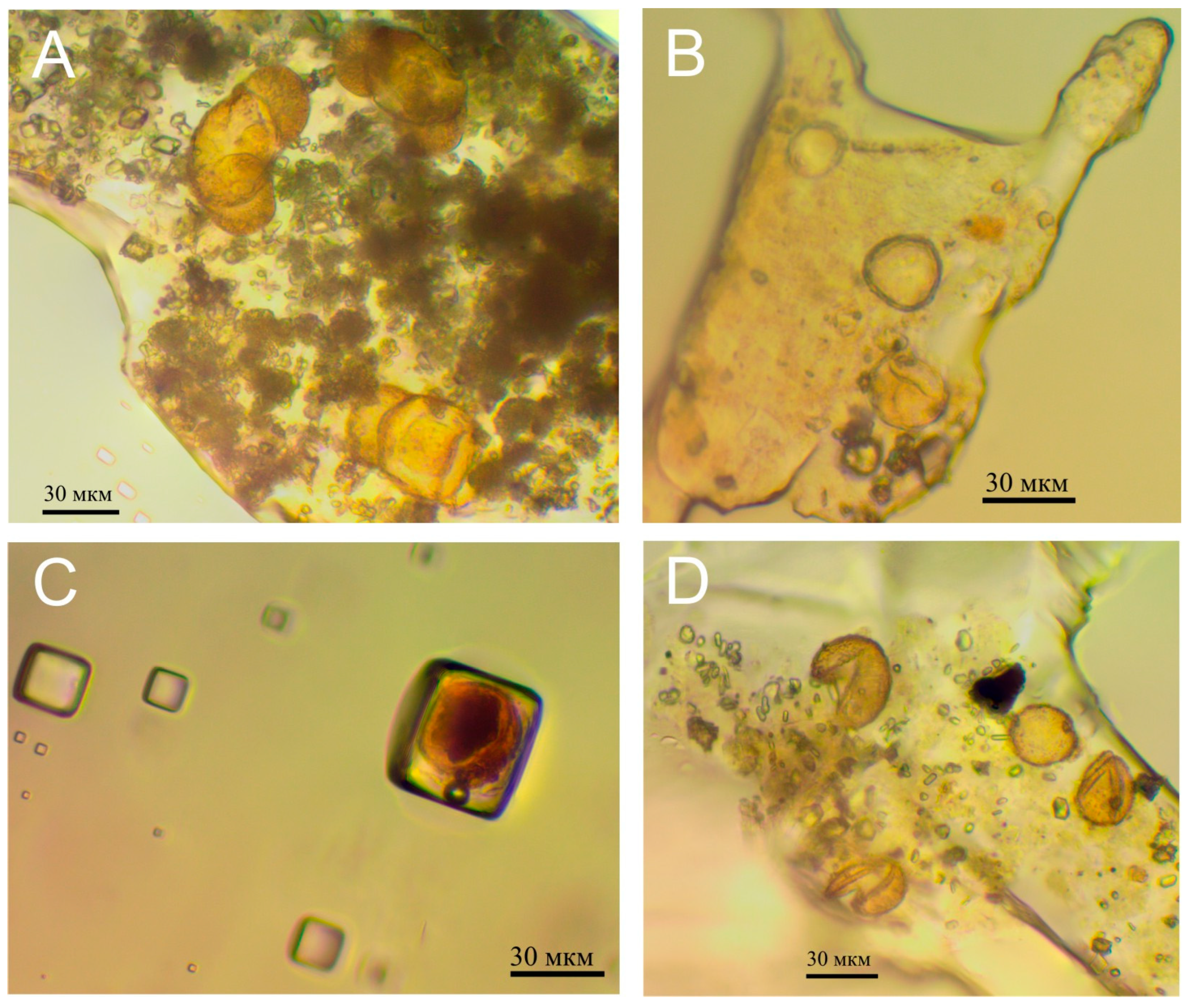Minerals 13 00171 g004