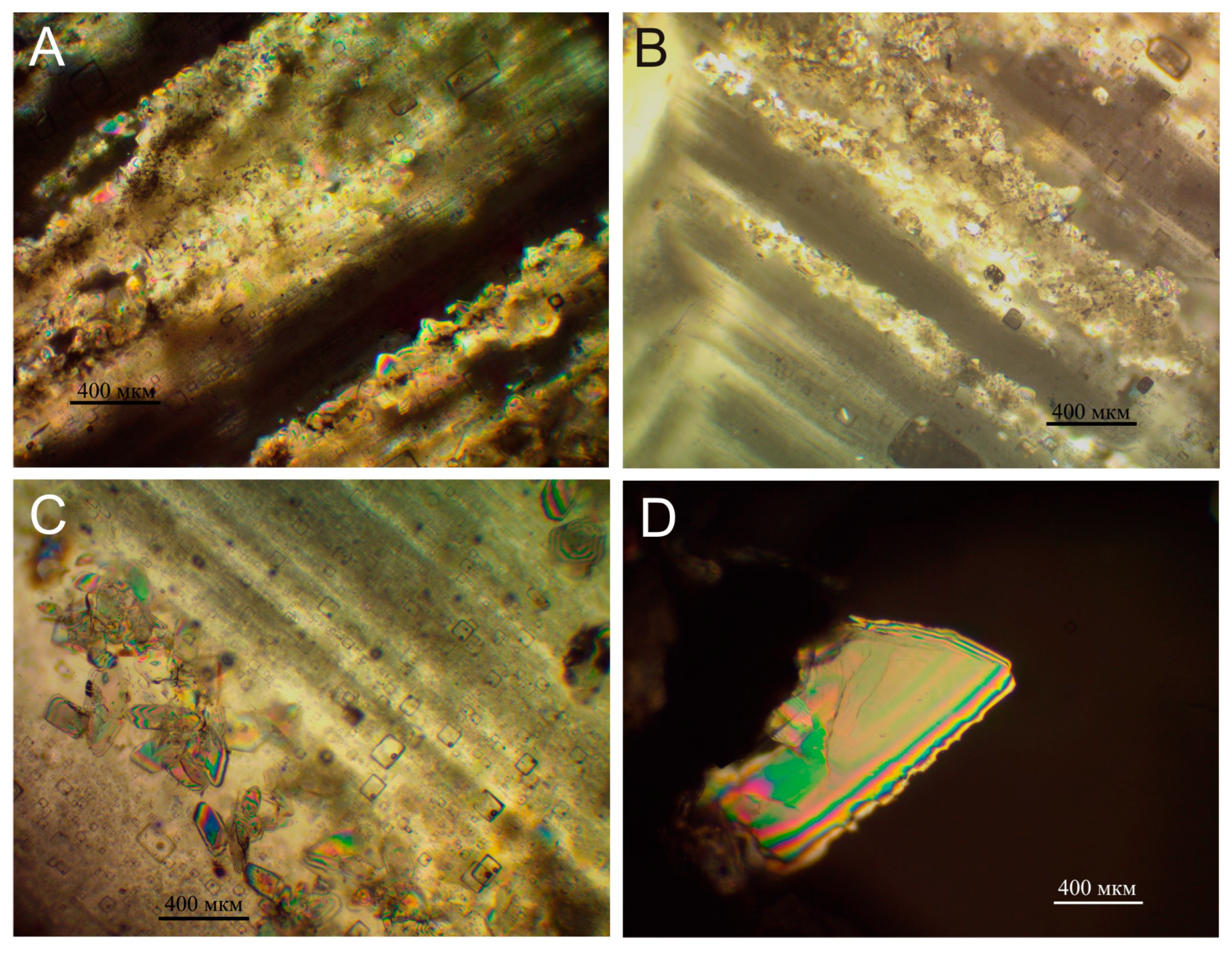 Minerals 13 00171 g010