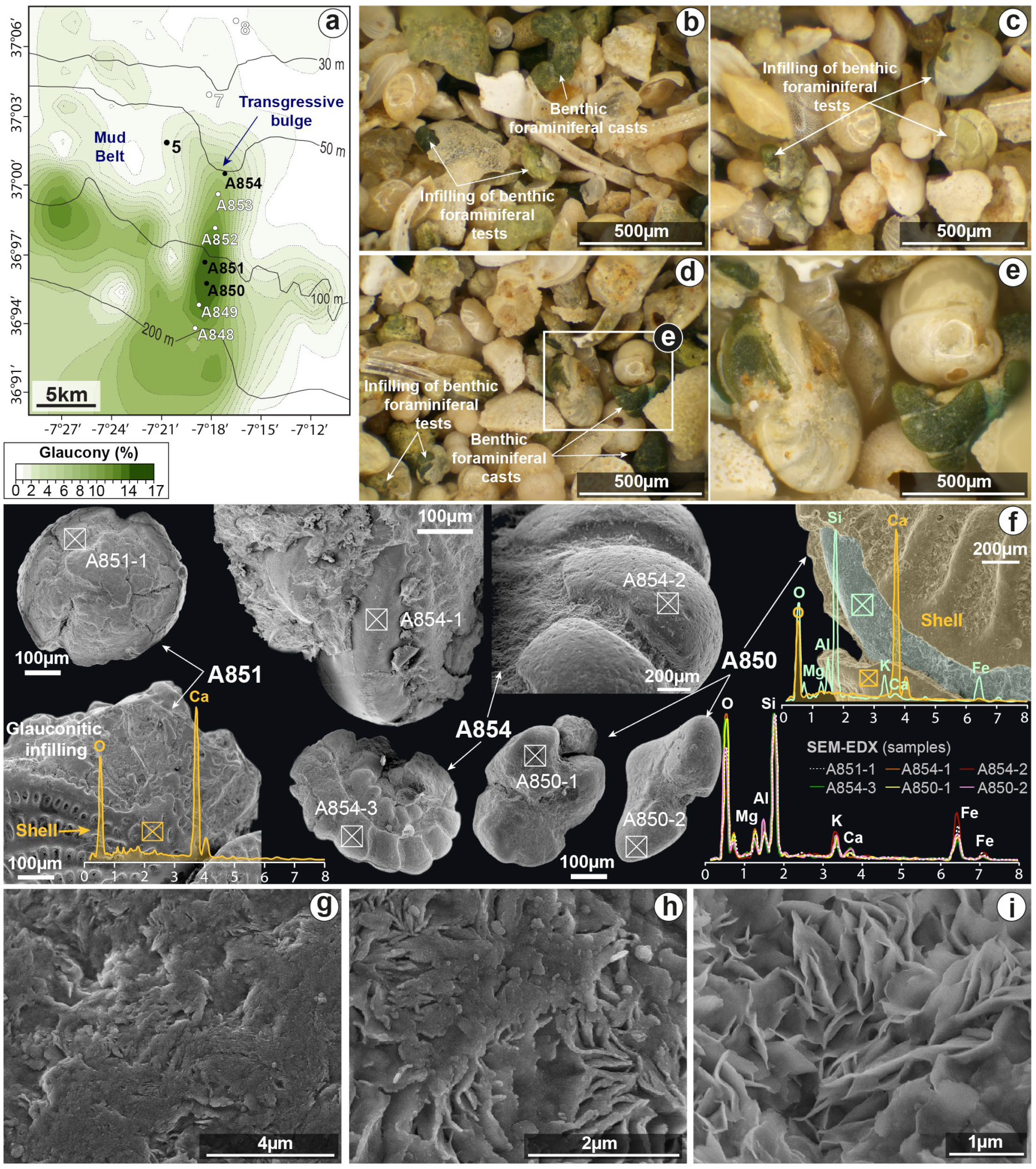 Minerals 13 00177 g008 Minerals 13 00177 g008