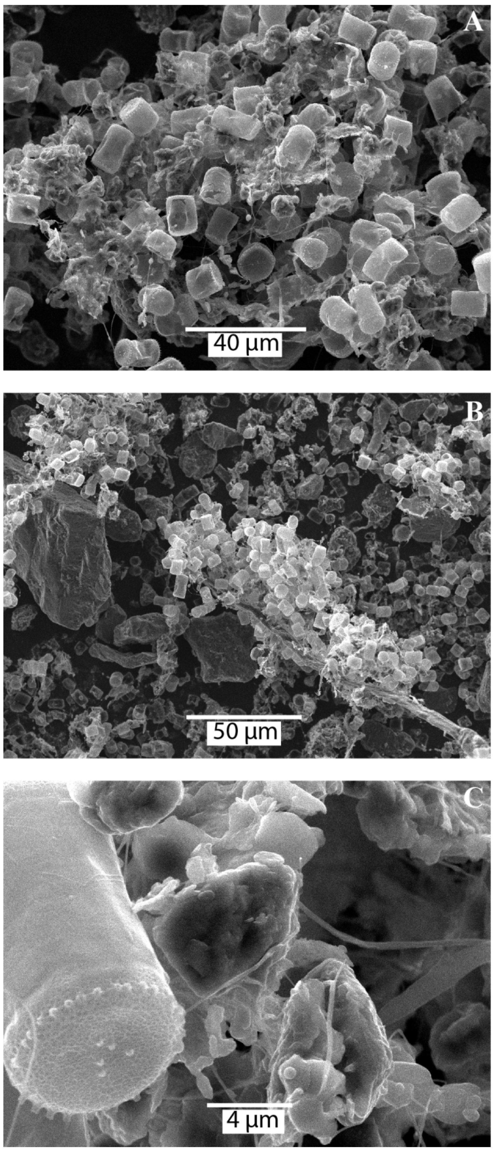 Minerals 13 00183 g006