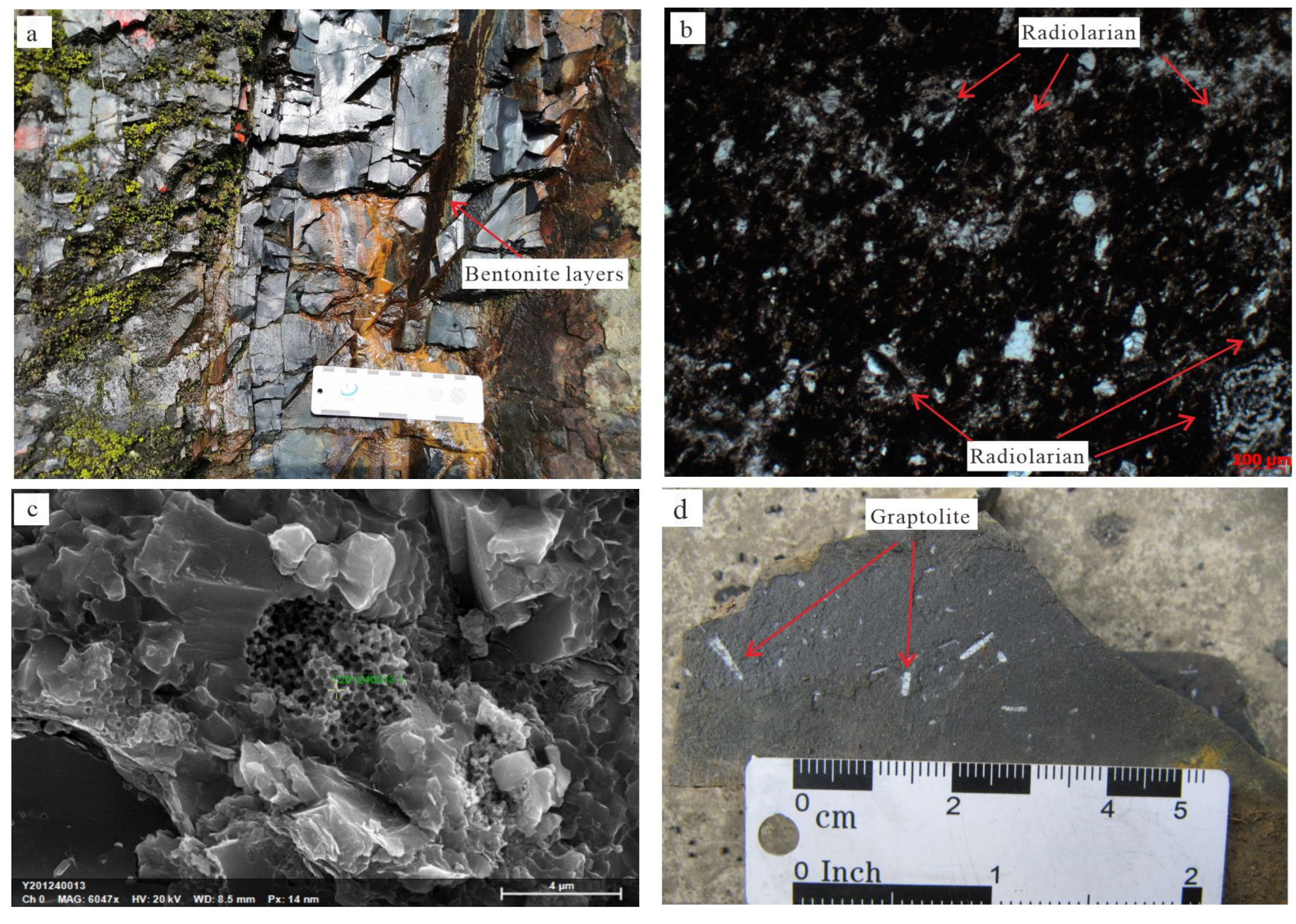 Minerals 13 00194 g004 Minerals 13 00194 g004