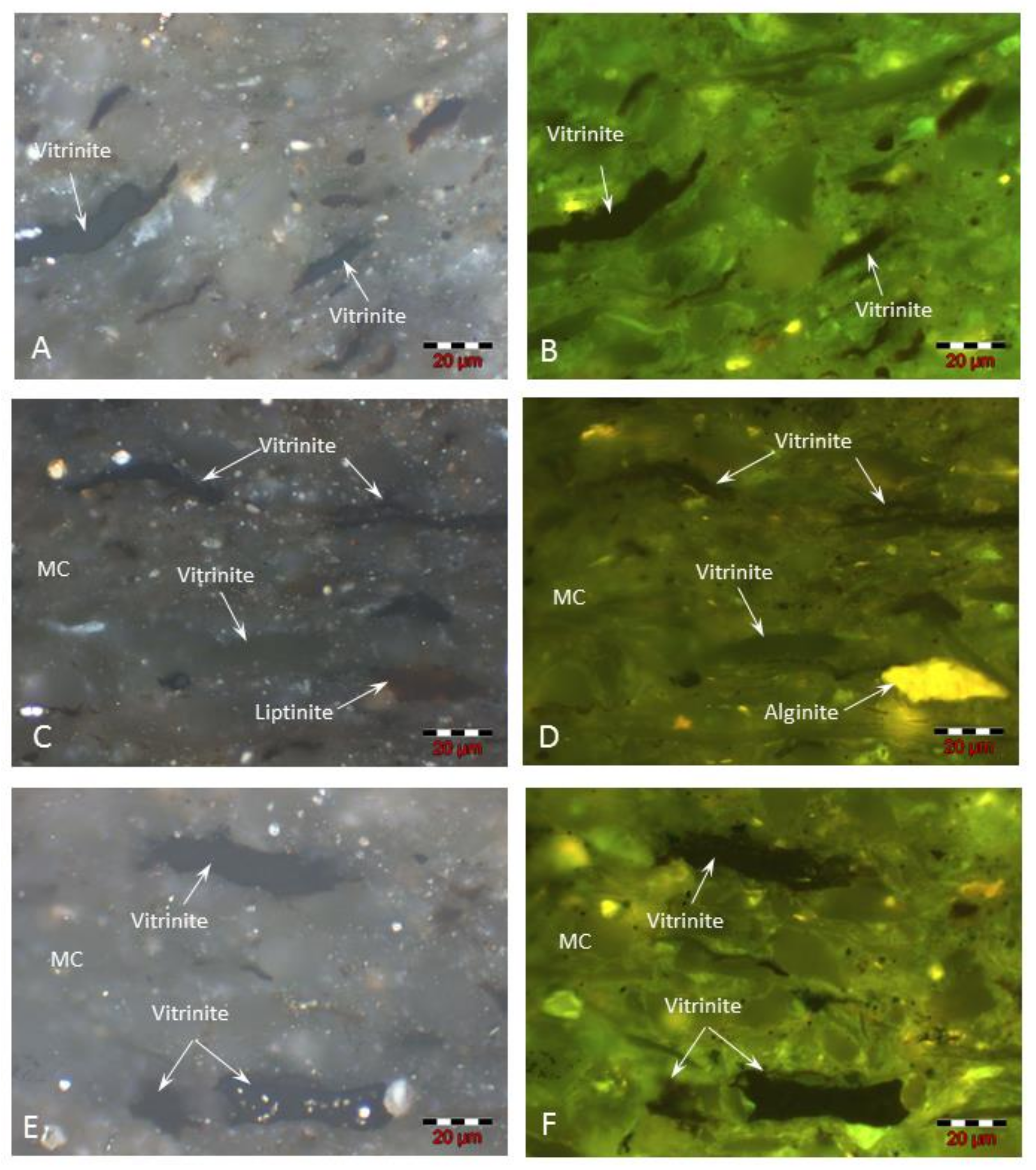 Minerals 13 00202 g005 Minerals 13 00202 g005