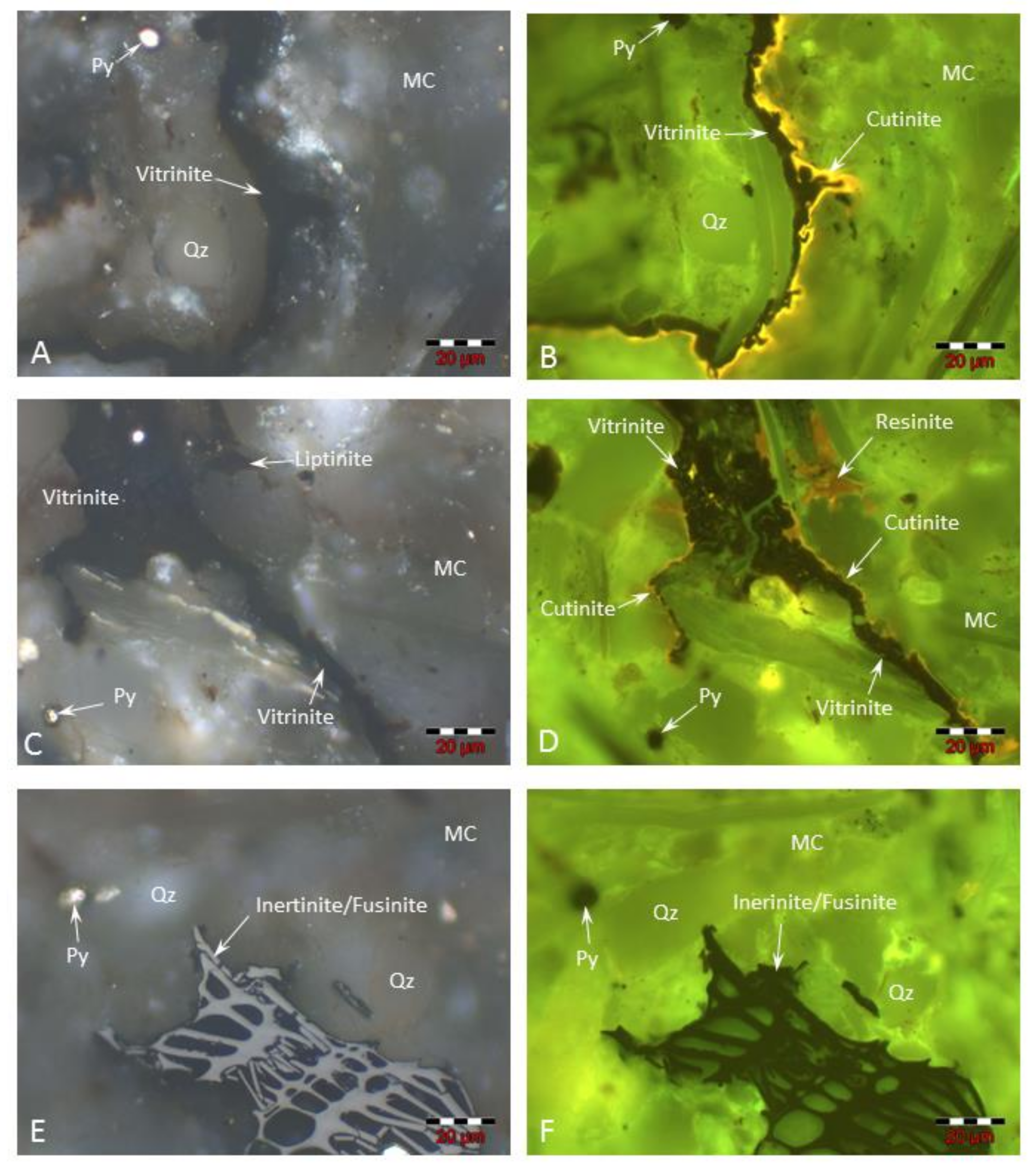 Minerals 13 00202 g007 Minerals 13 00202 g007