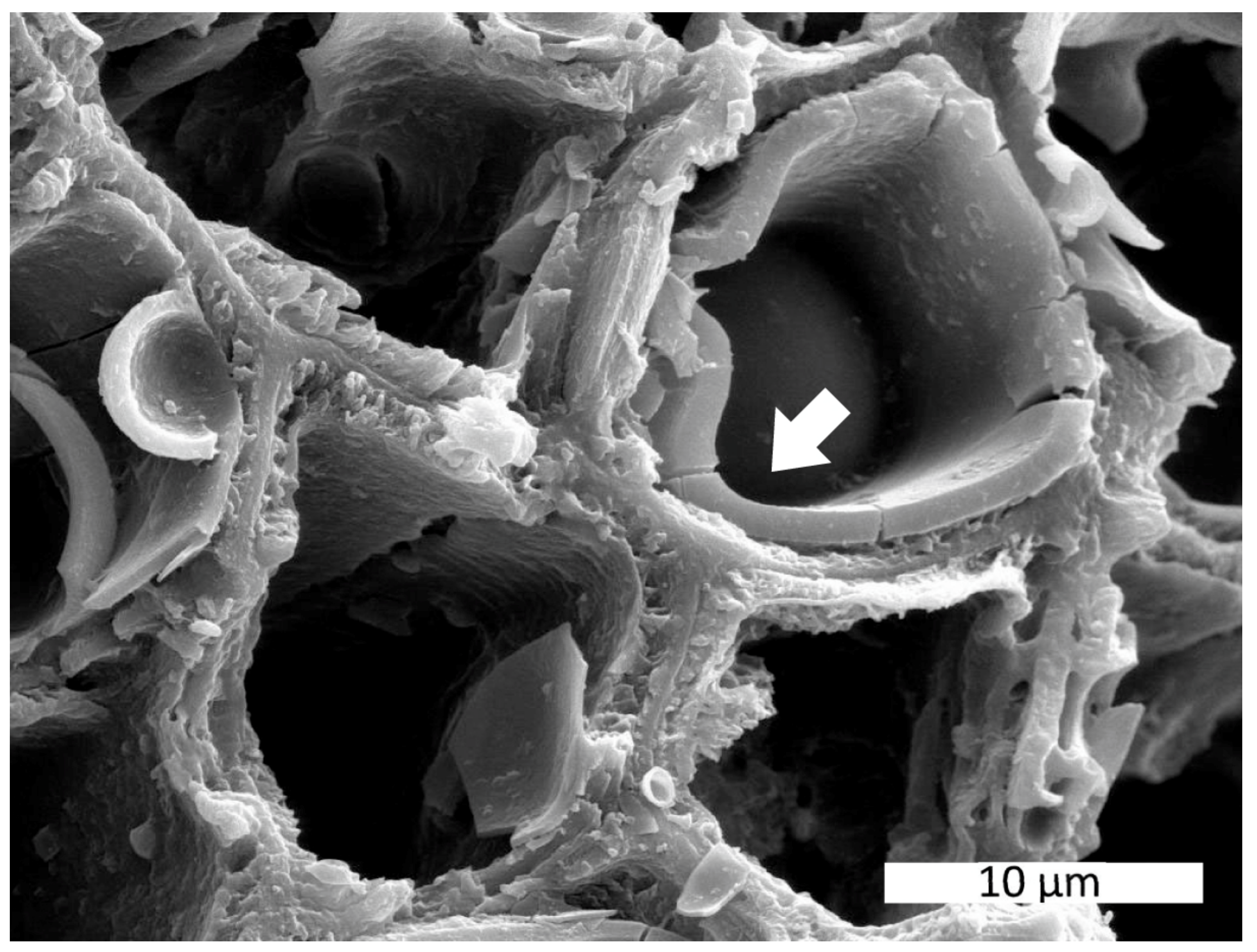 Minerals 13 00206 g003