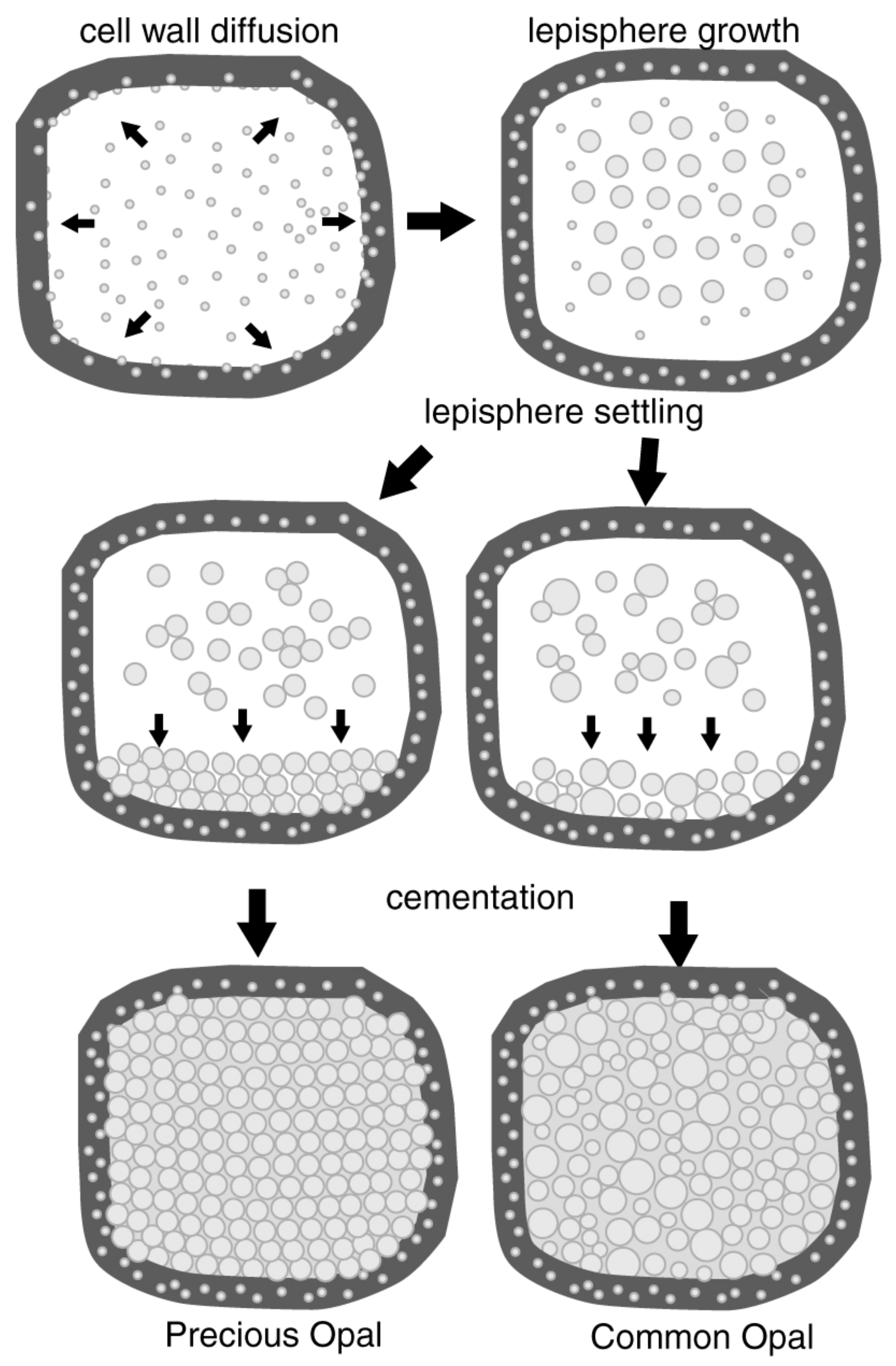 Minerals 13 00206 g004