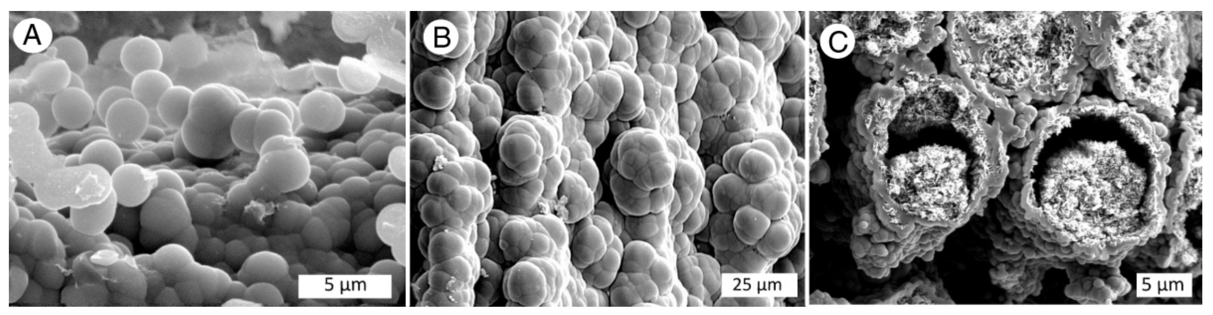 Minerals 13 00206 g007