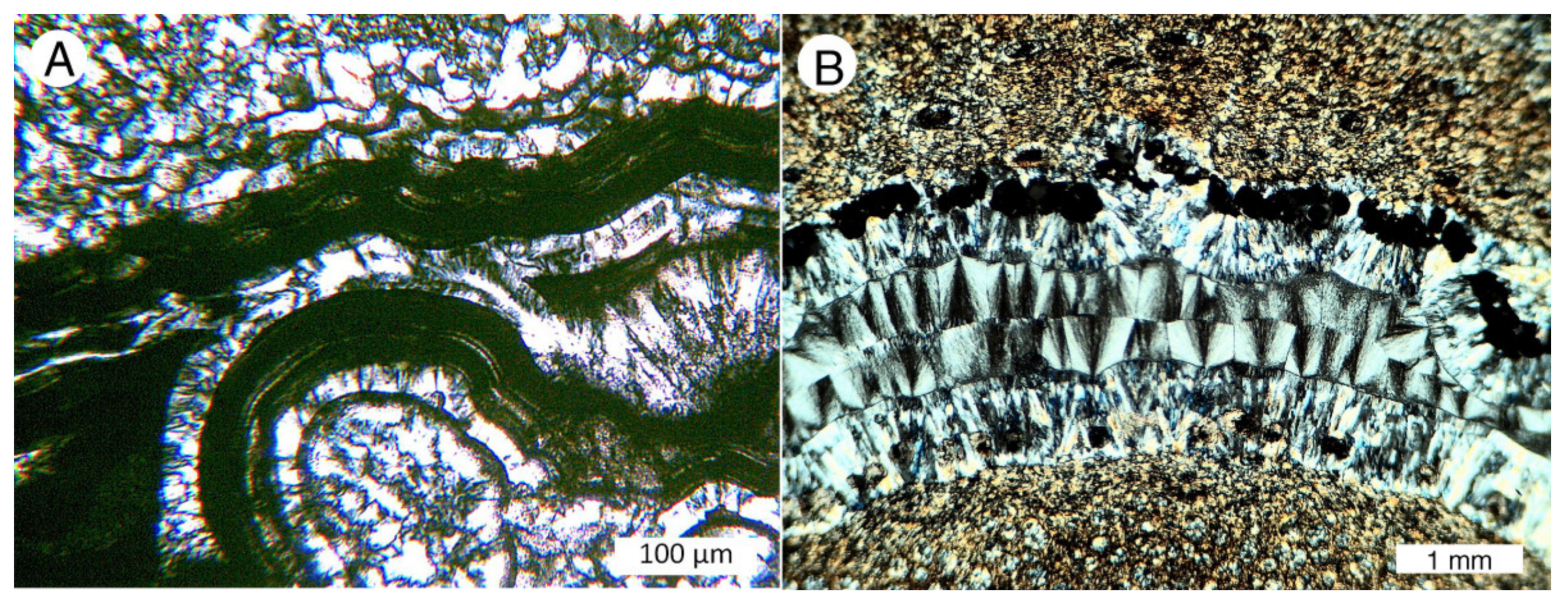 Minerals 13 00206 g009