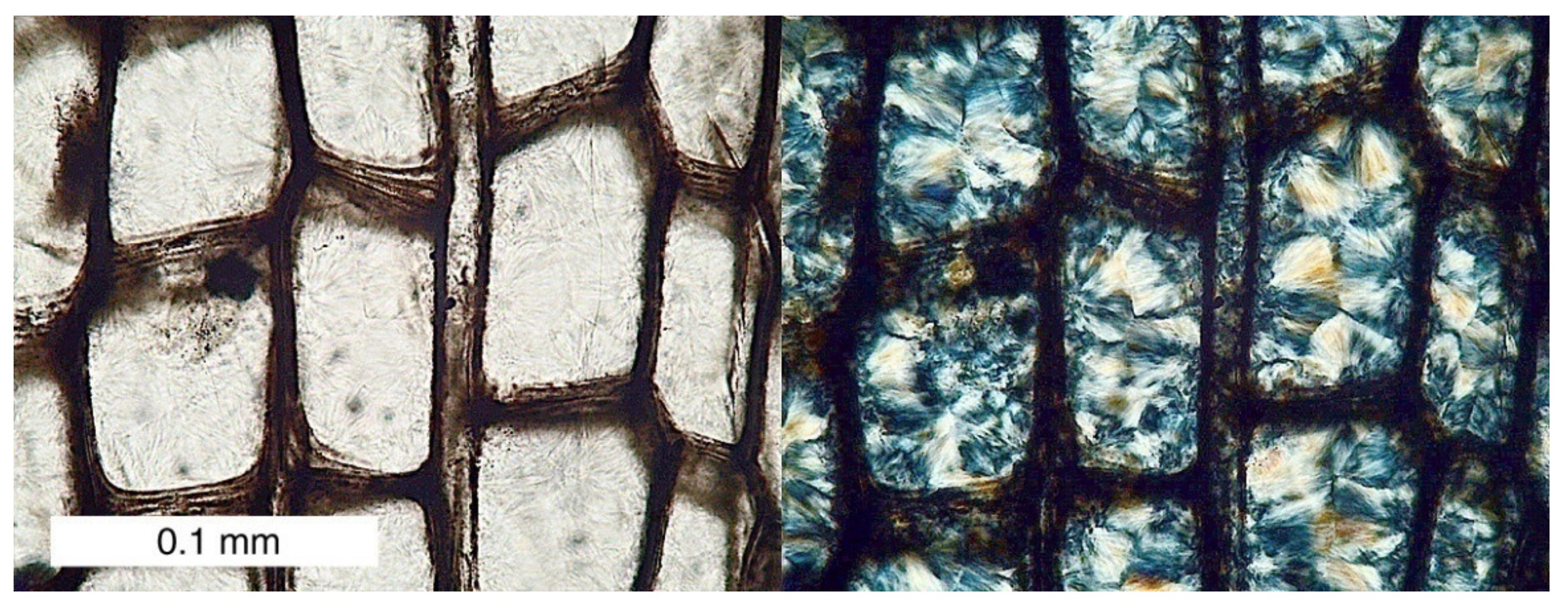 Minerals 13 00206 g011