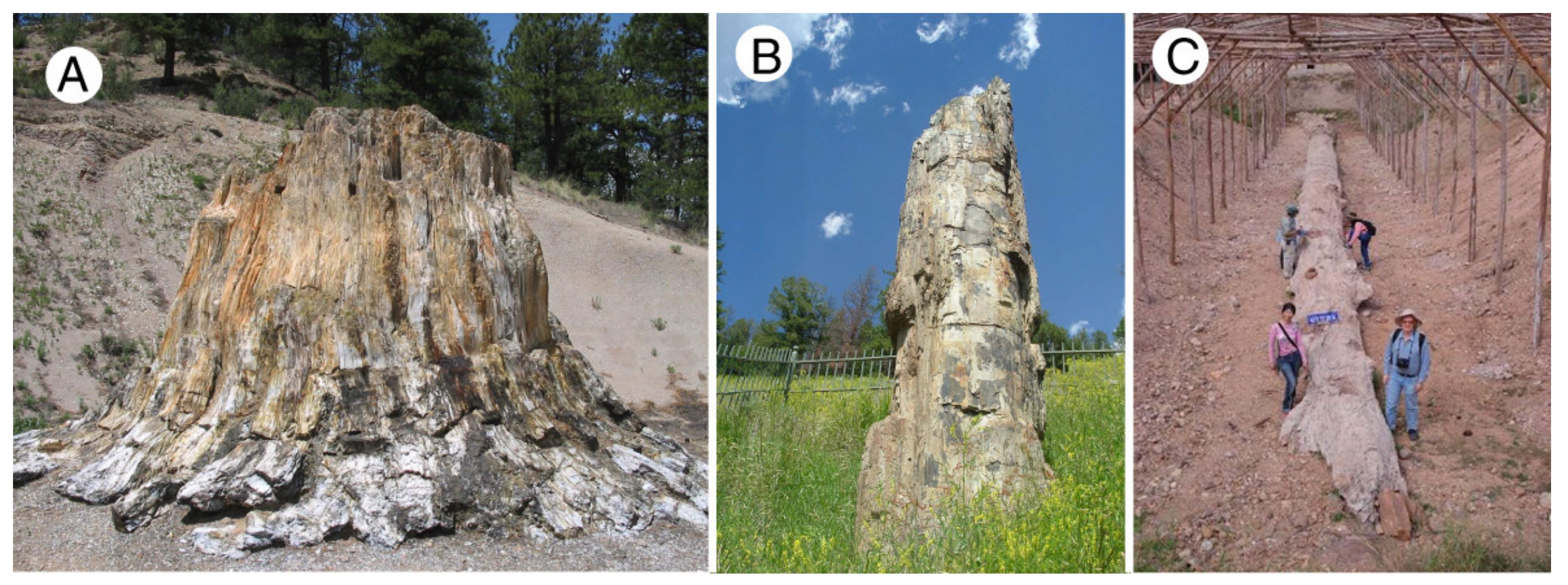 Minerals 13 00206 g013