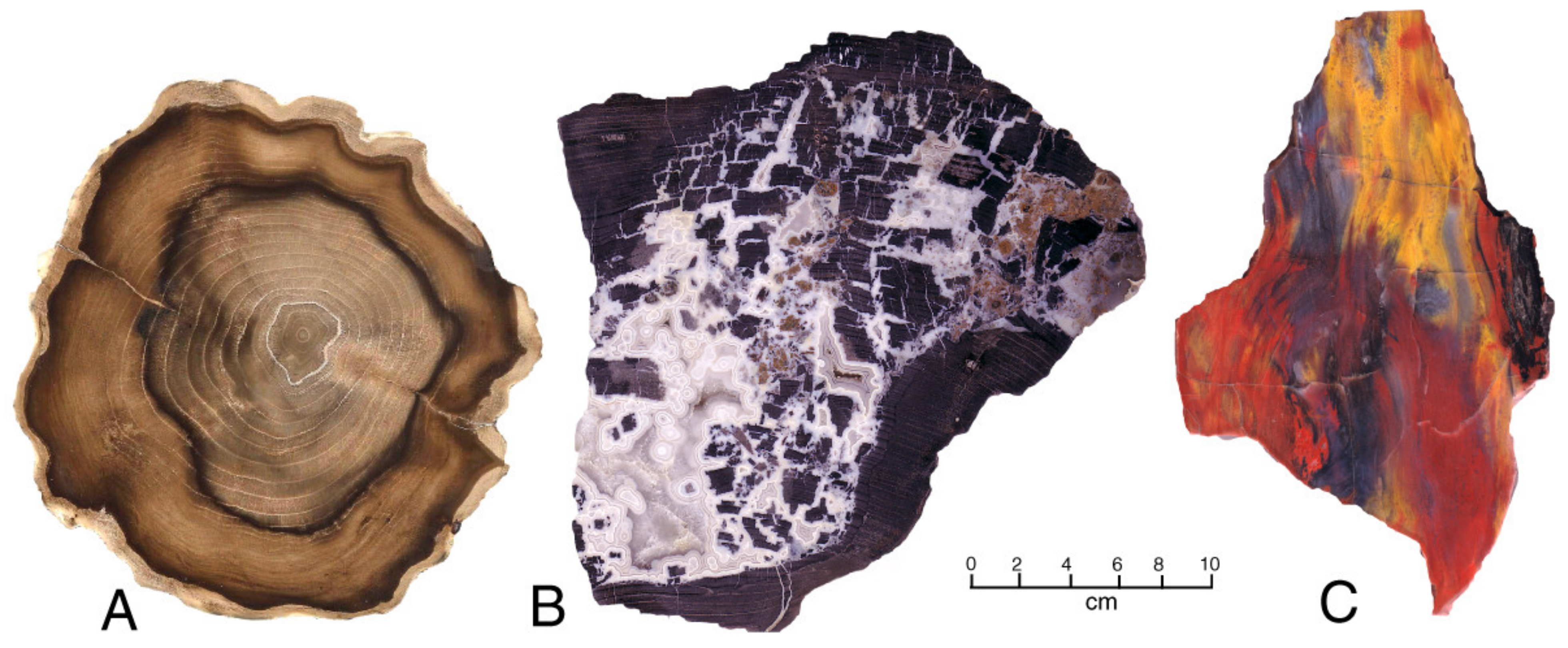 Minerals 13 00206 g015