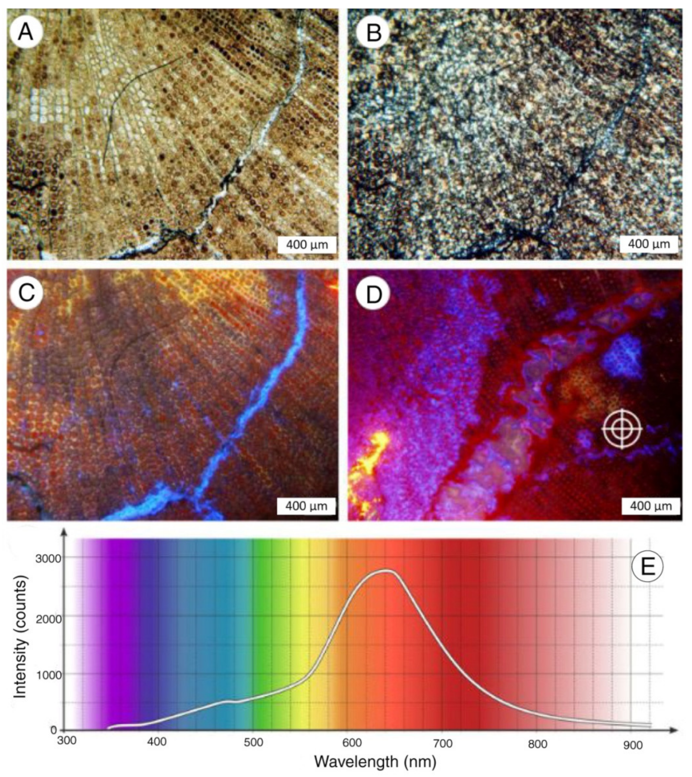 Minerals 13 00206 g016