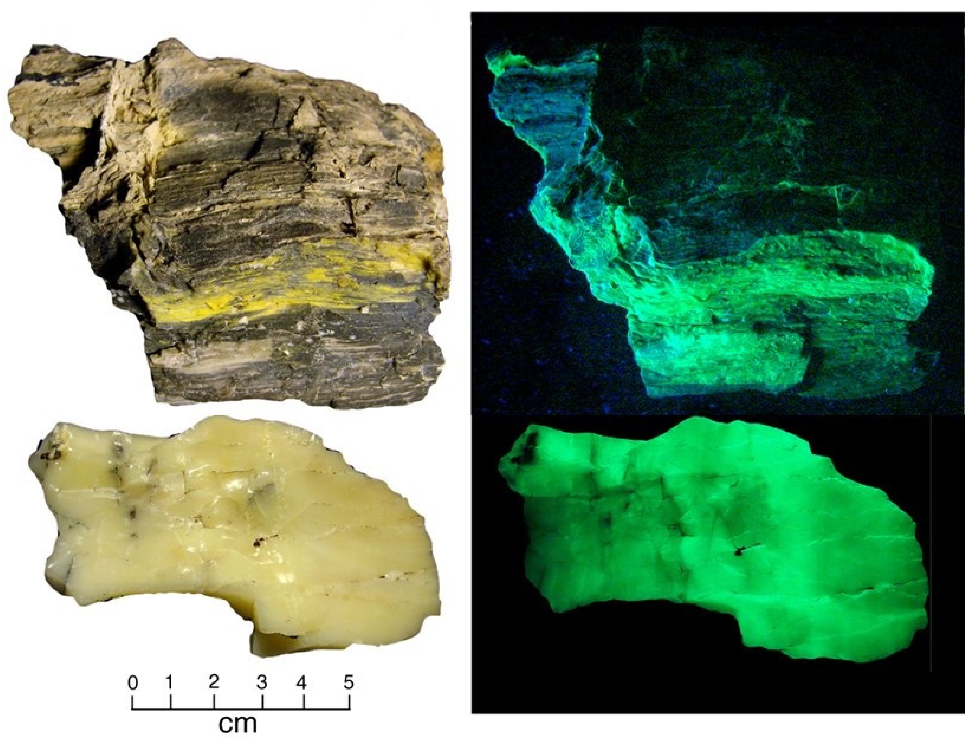 Minerals 13 00206 g017