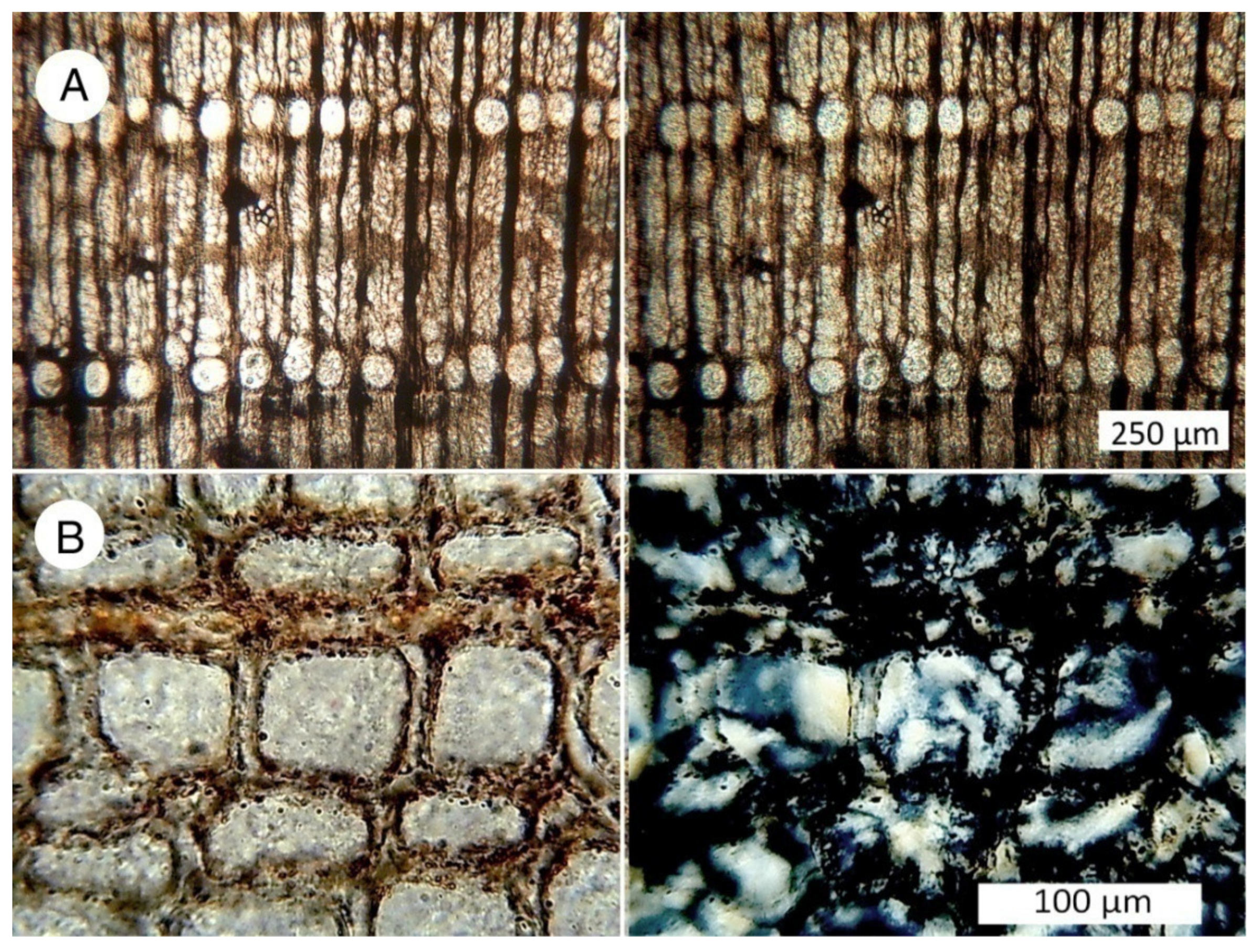Minerals 13 00206 g022