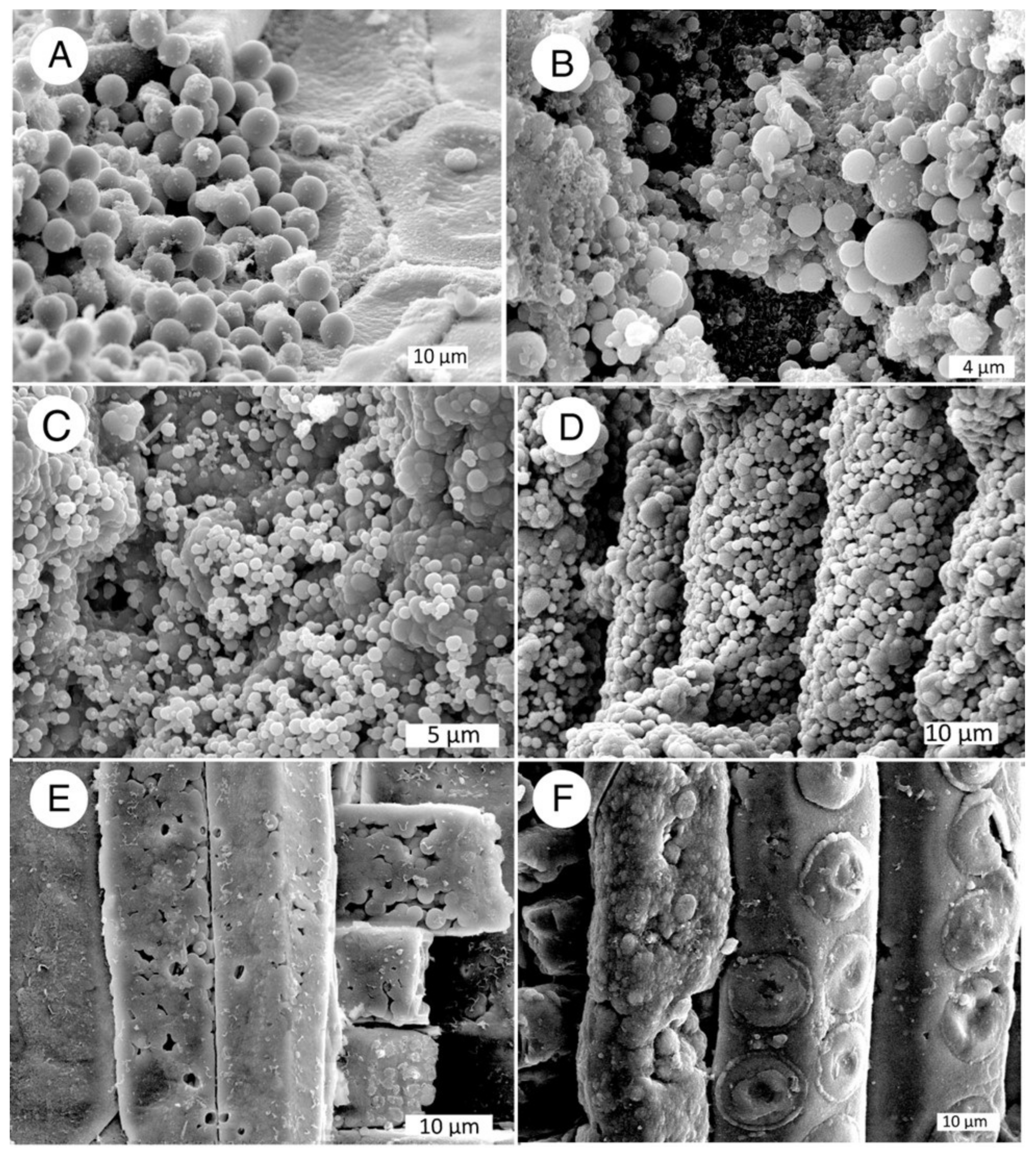 Minerals 13 00206 g024