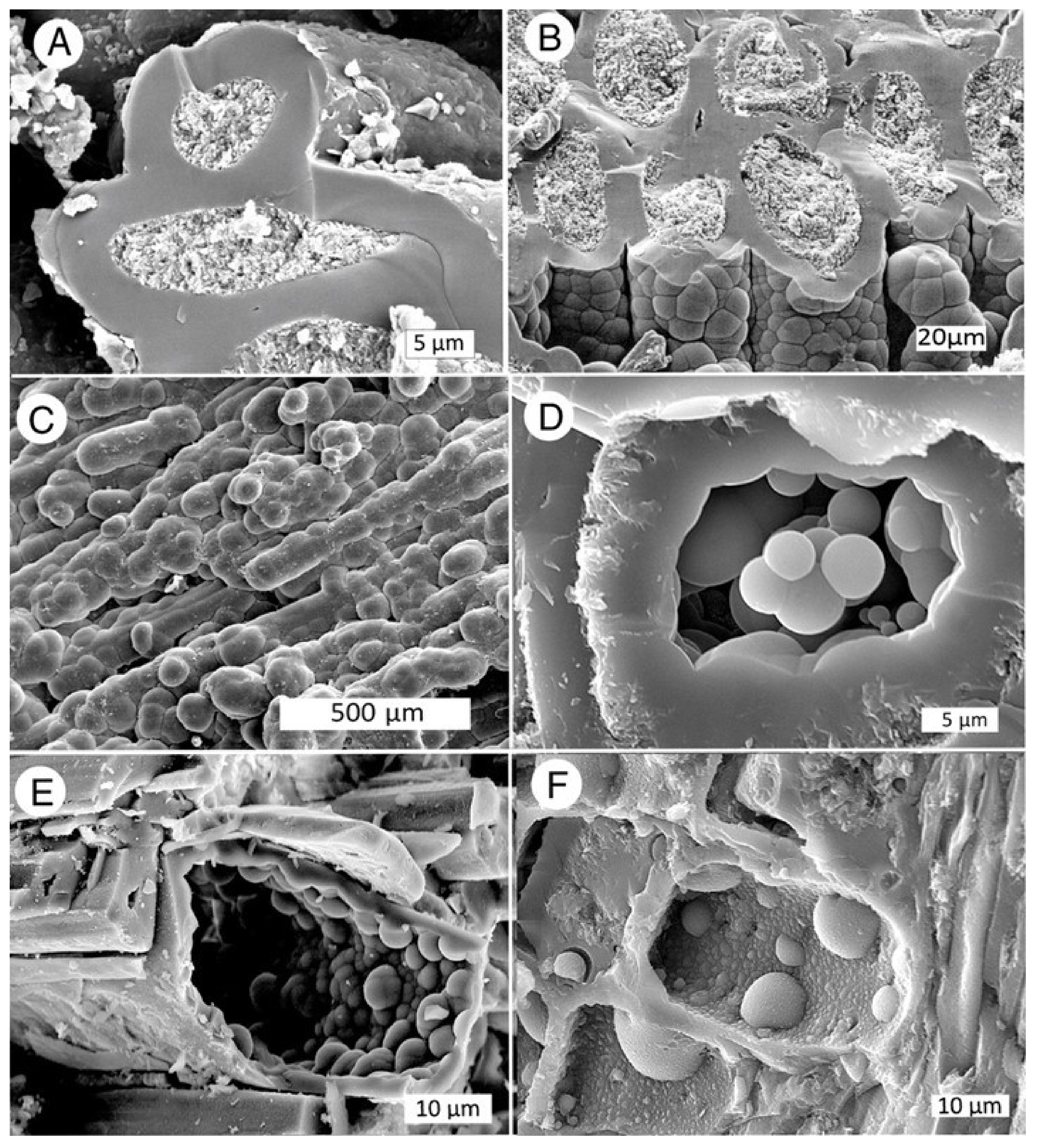 Minerals 13 00206 g025