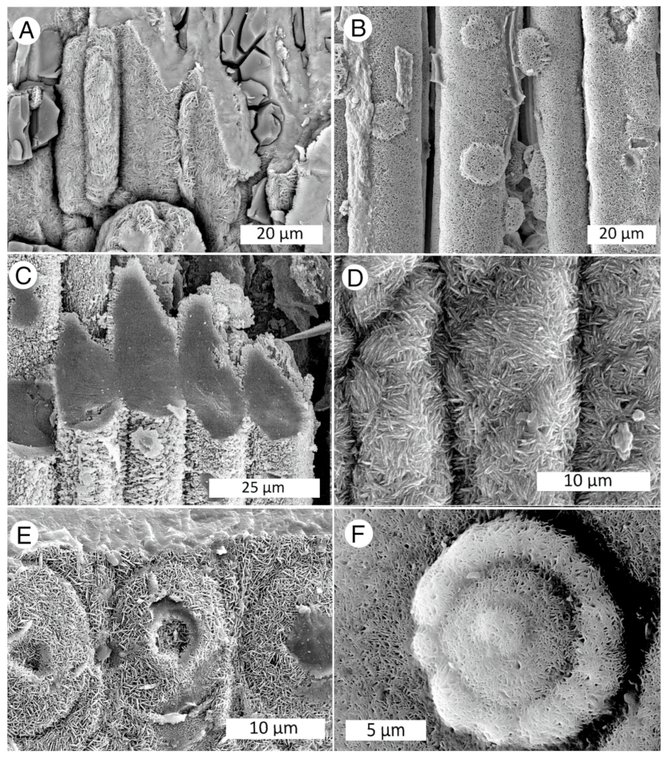 Minerals 13 00206 g026