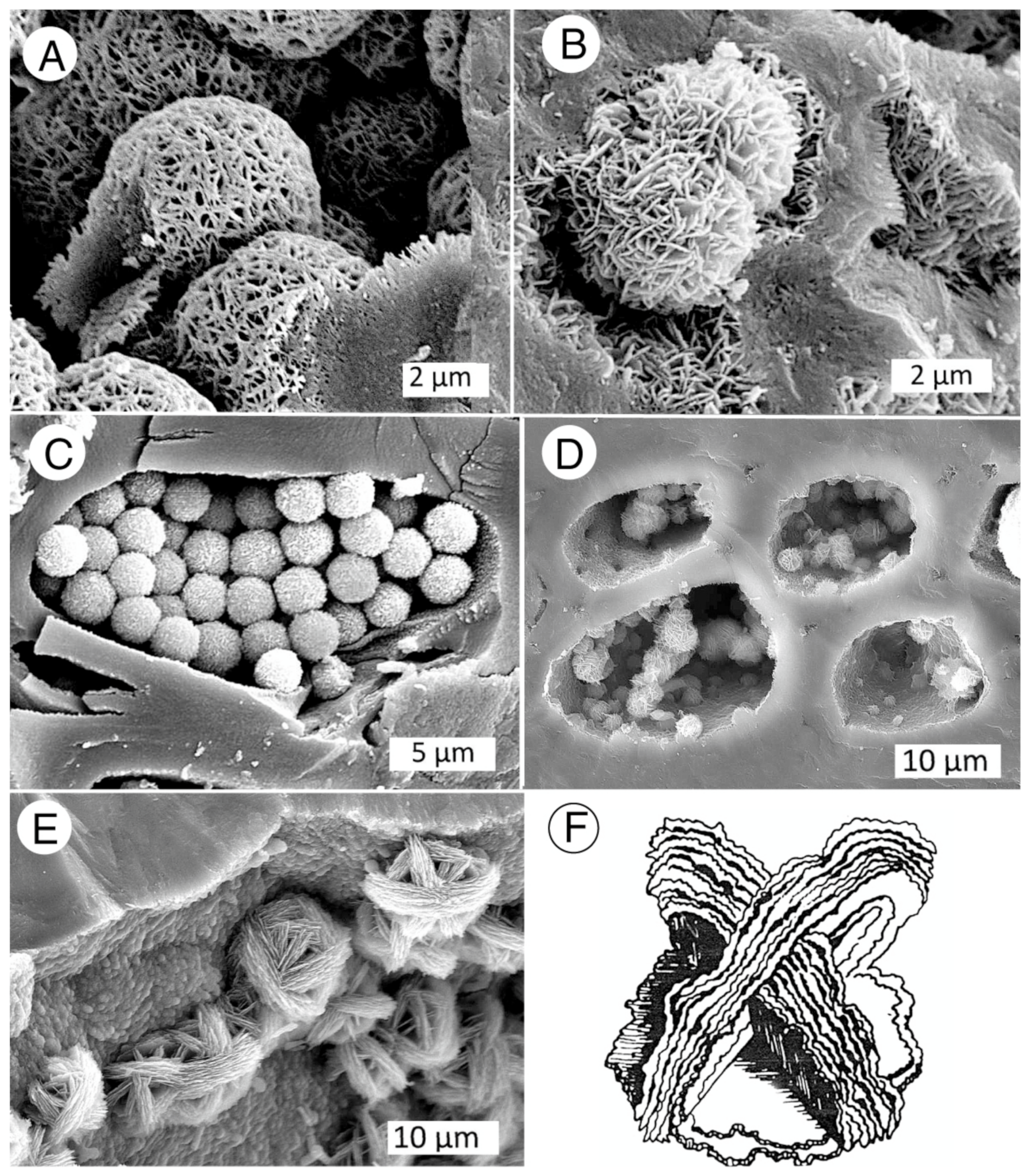 Minerals 13 00206 g027