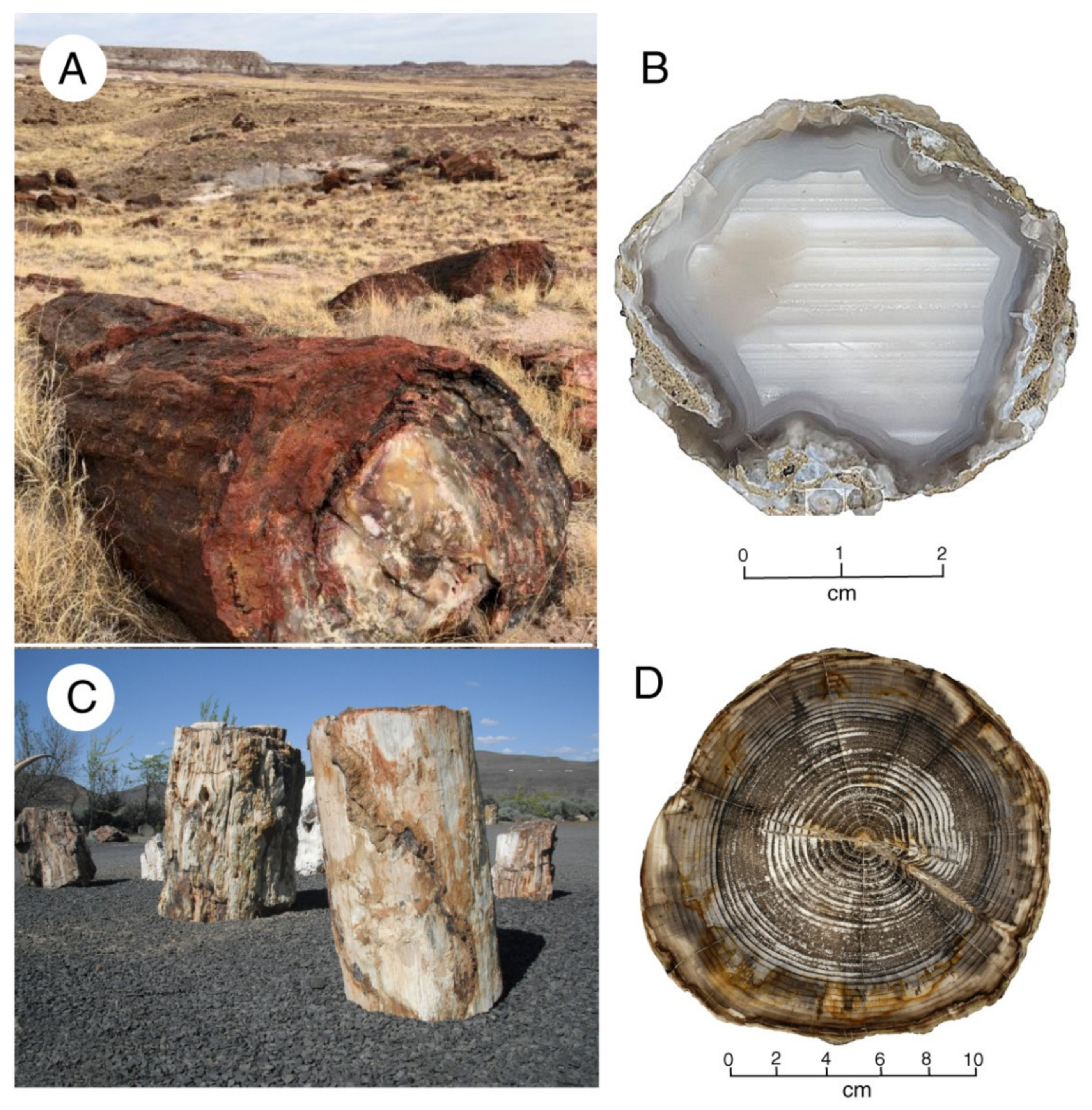 Minerals 13 00206 g029