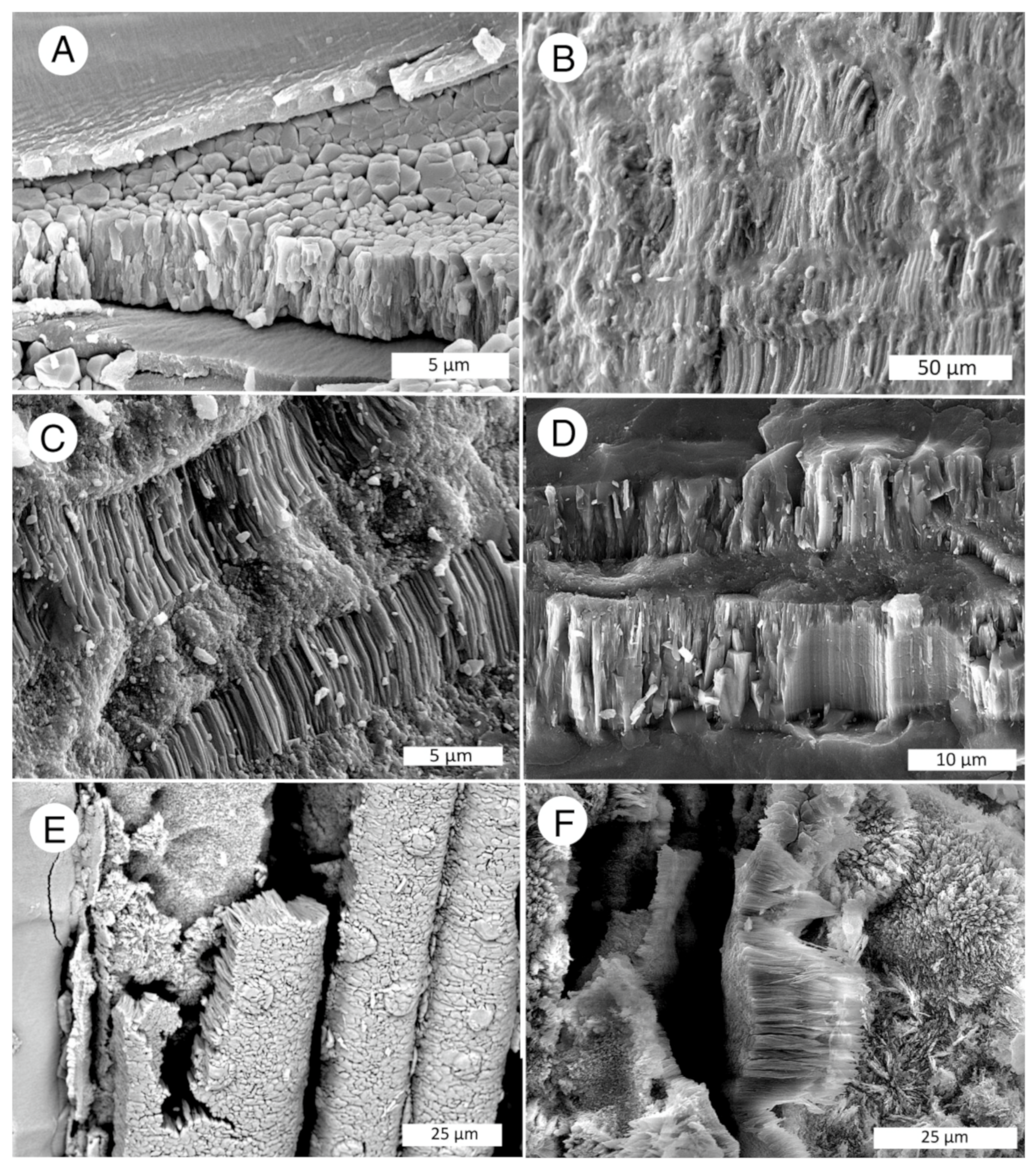 Minerals 13 00206 g030