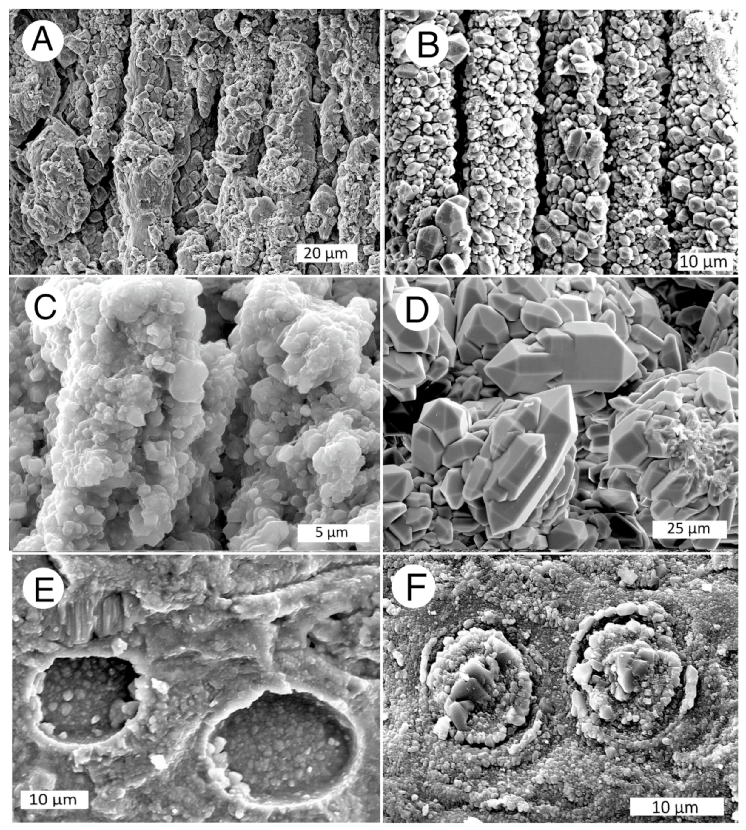 Minerals 13 00206 g031