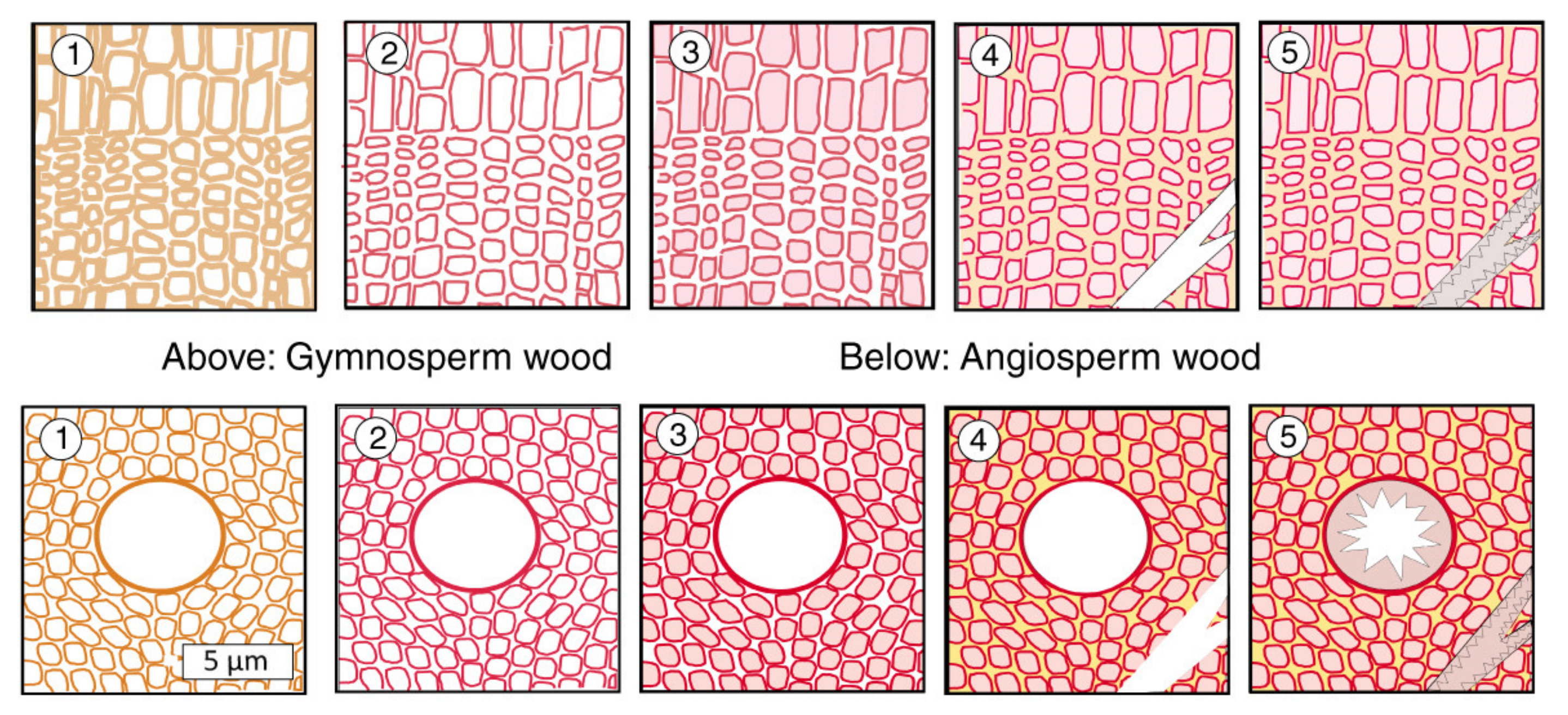 Minerals 13 00206 g032