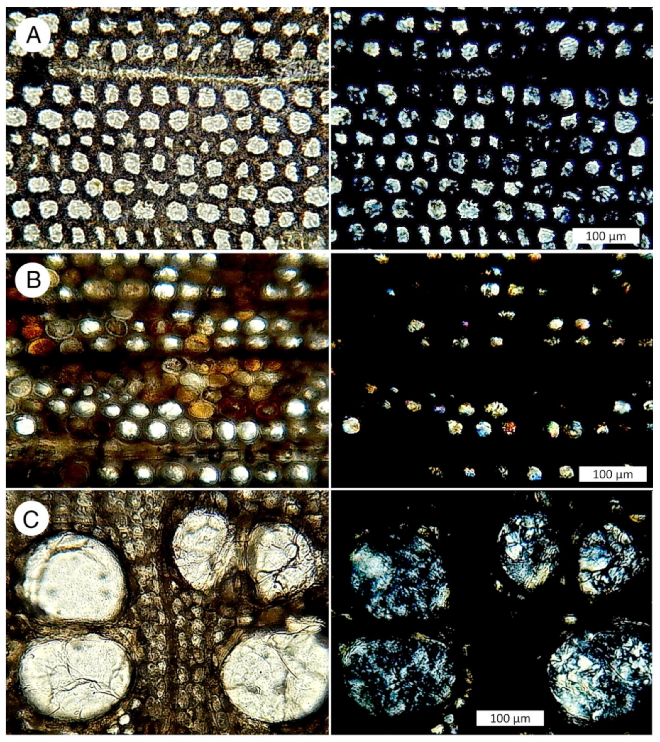 Minerals 13 00206 g034
