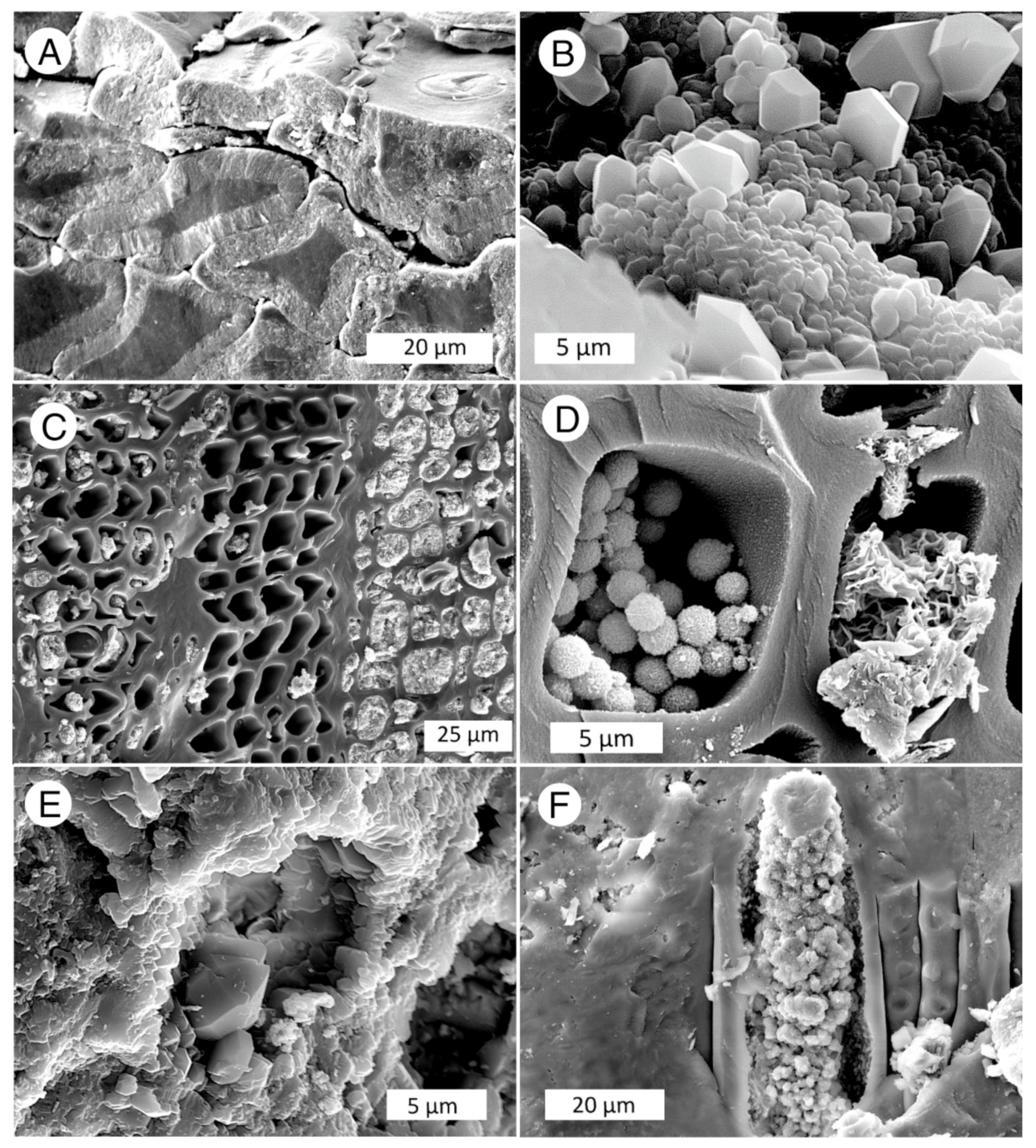 Minerals 13 00206 g035