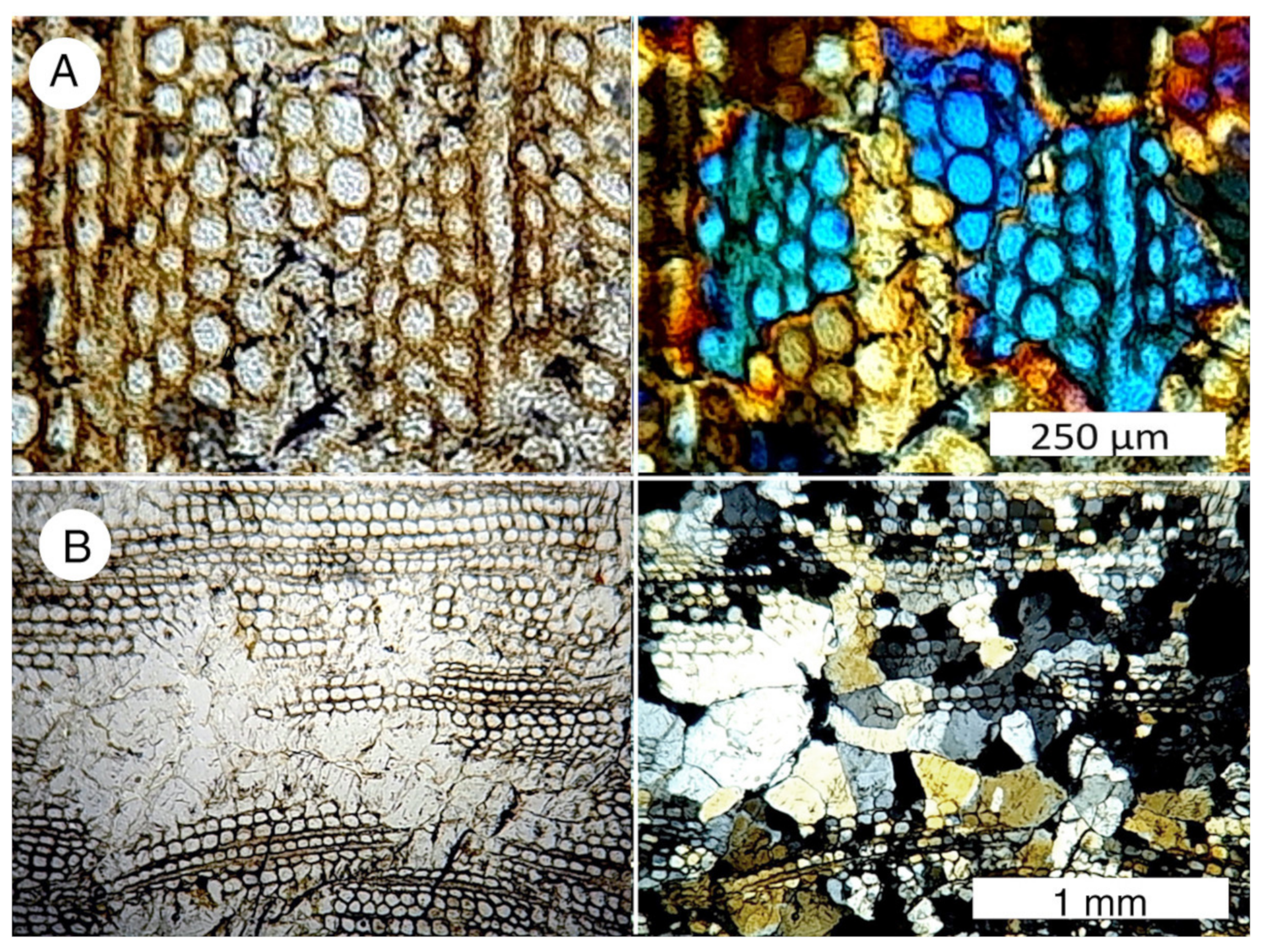 Minerals 13 00206 g037