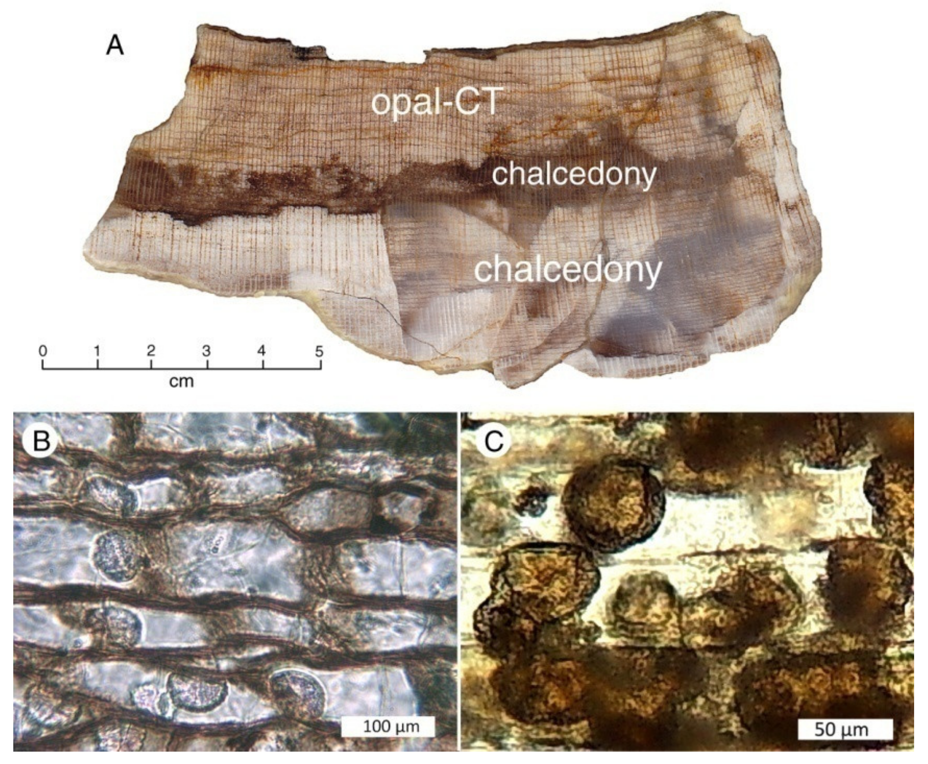 Minerals 13 00206 g042