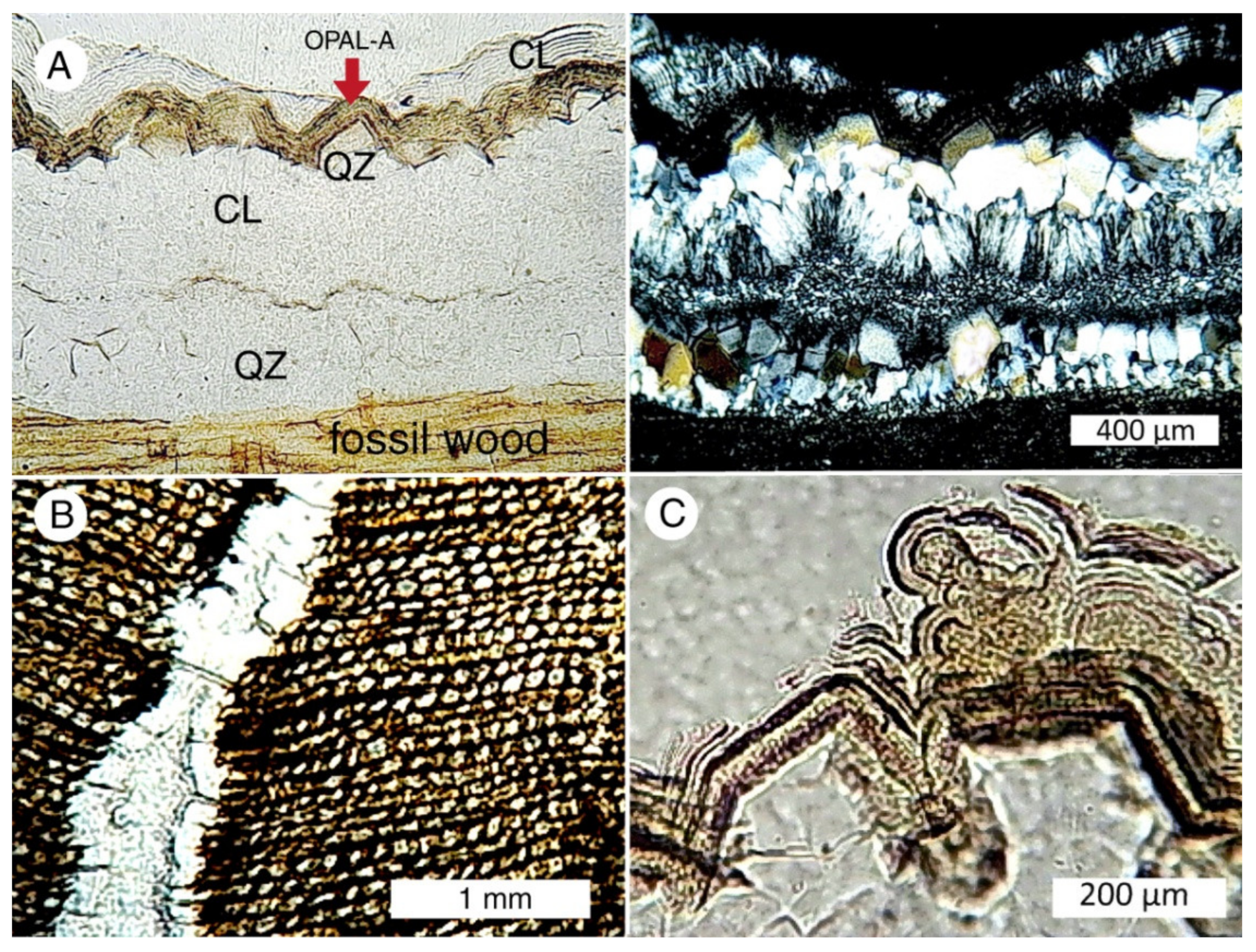 Minerals 13 00206 g043