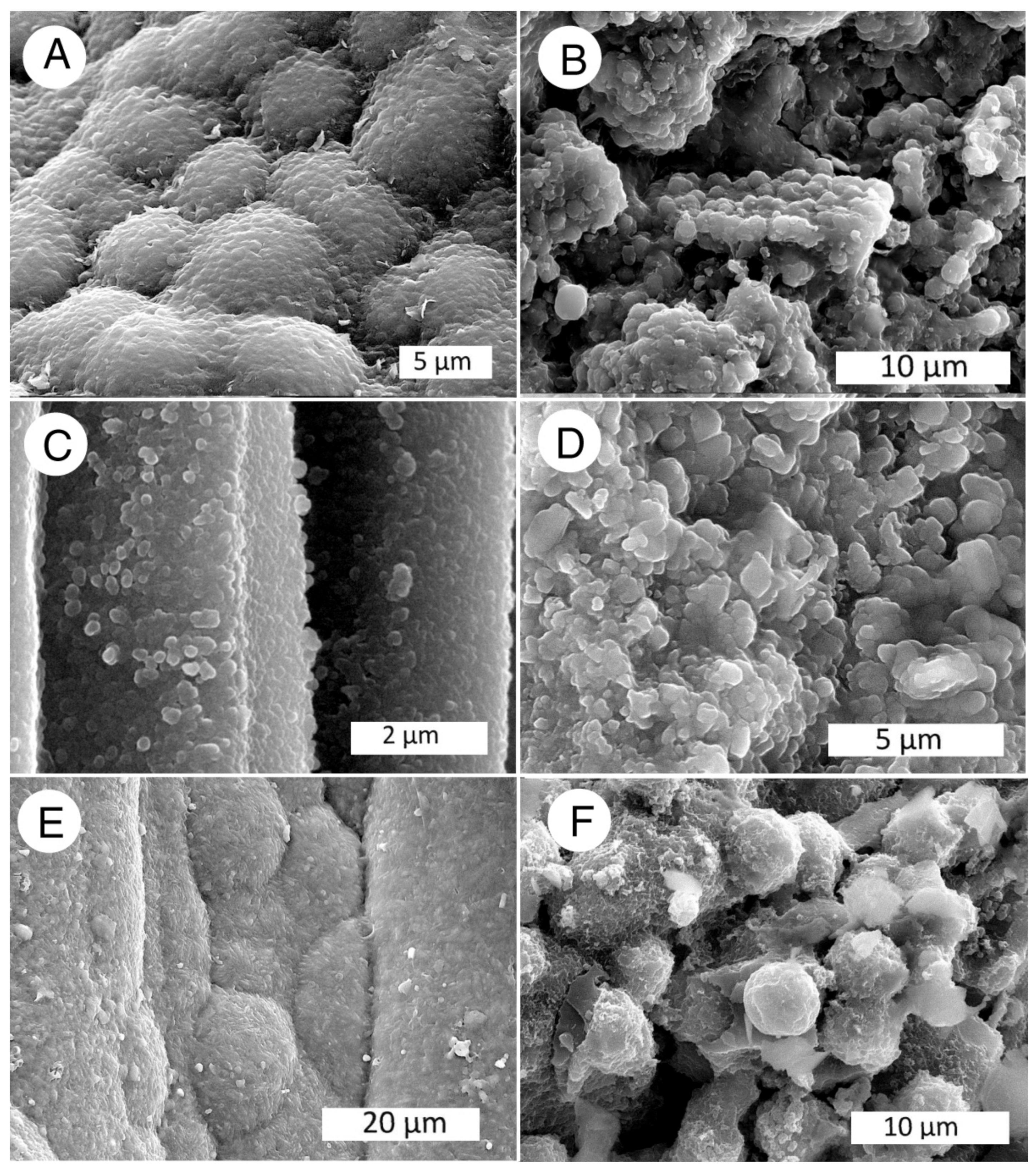 Minerals 13 00206 g044