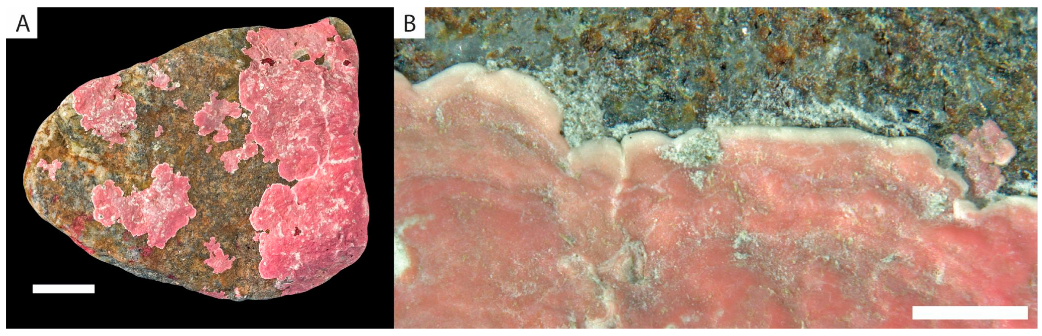 Minerals 13 00215 g001