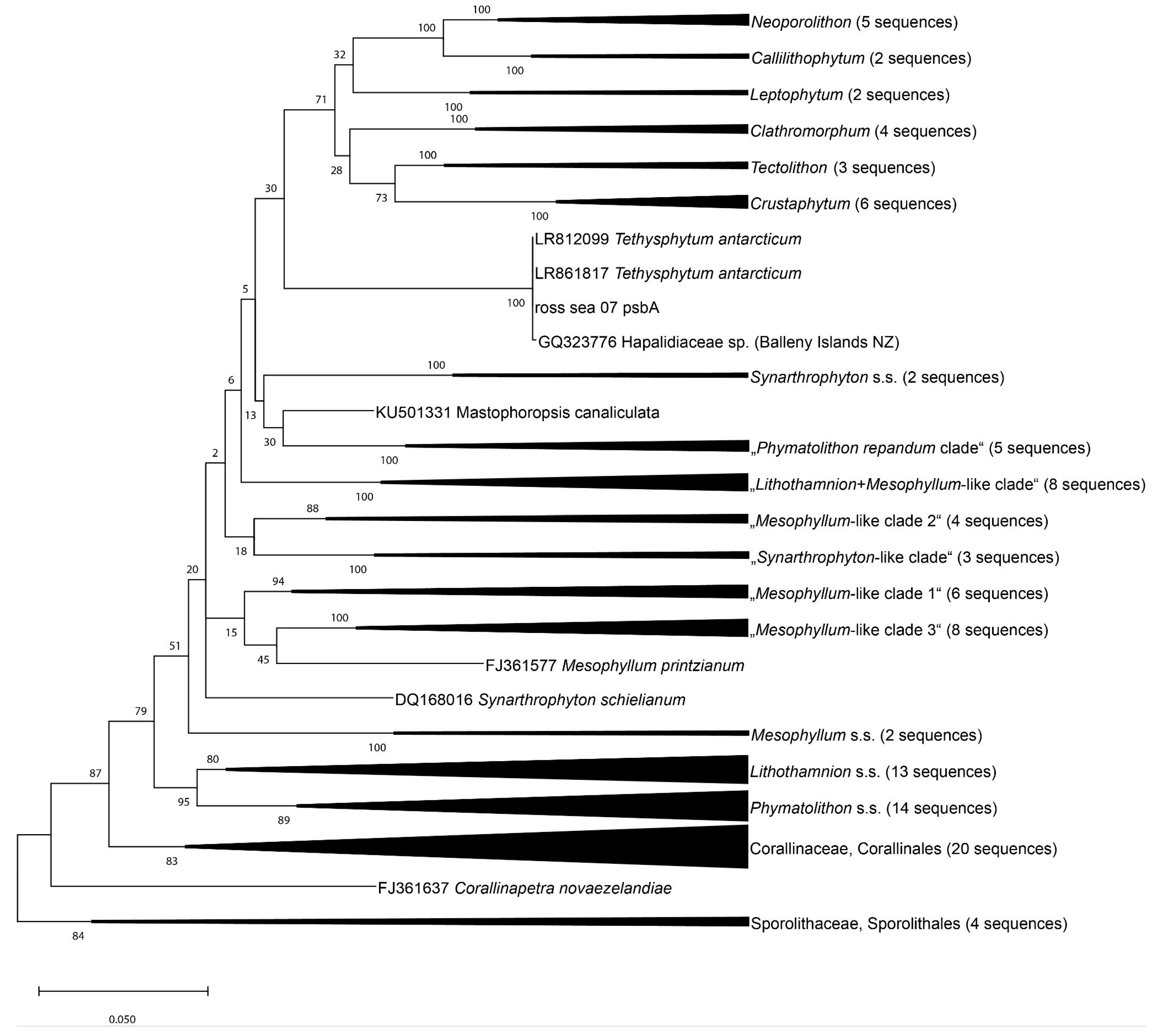 Minerals 13 00215 g004