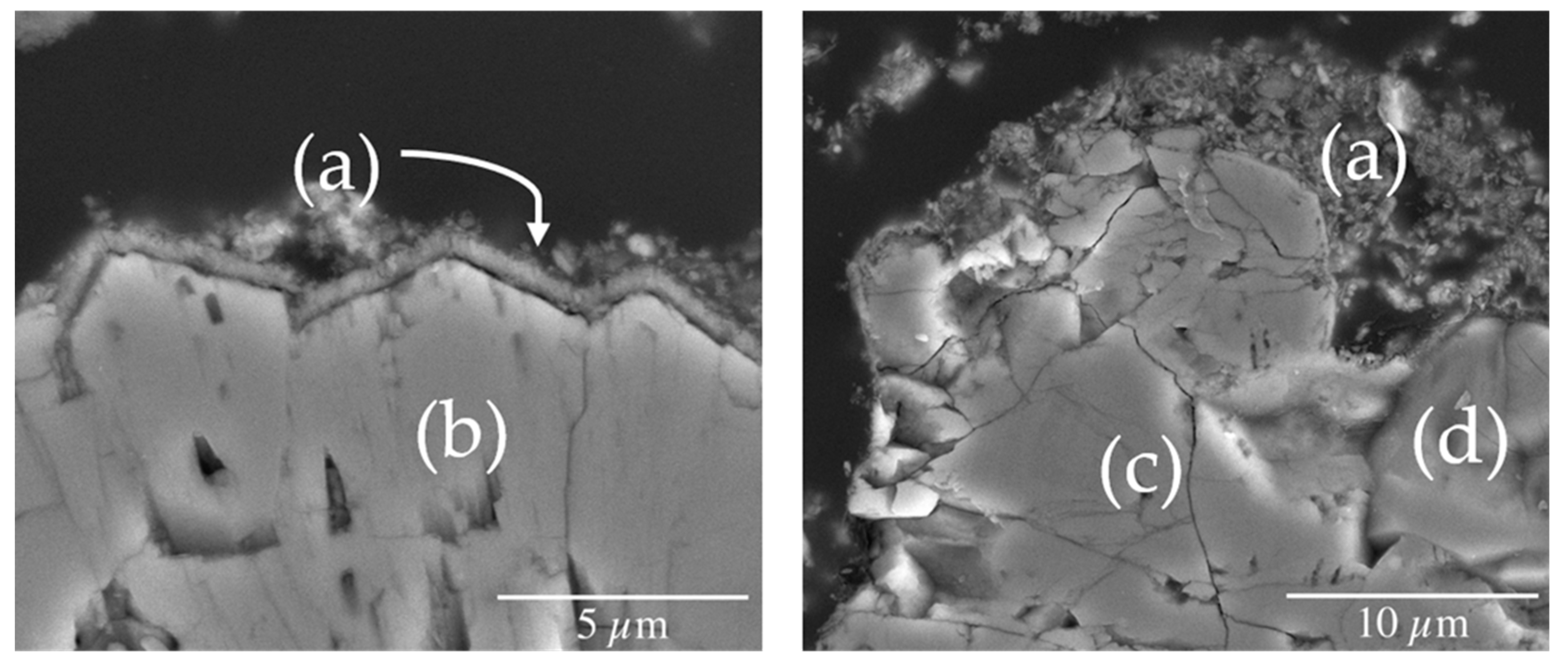 Minerals 13 00217 g006