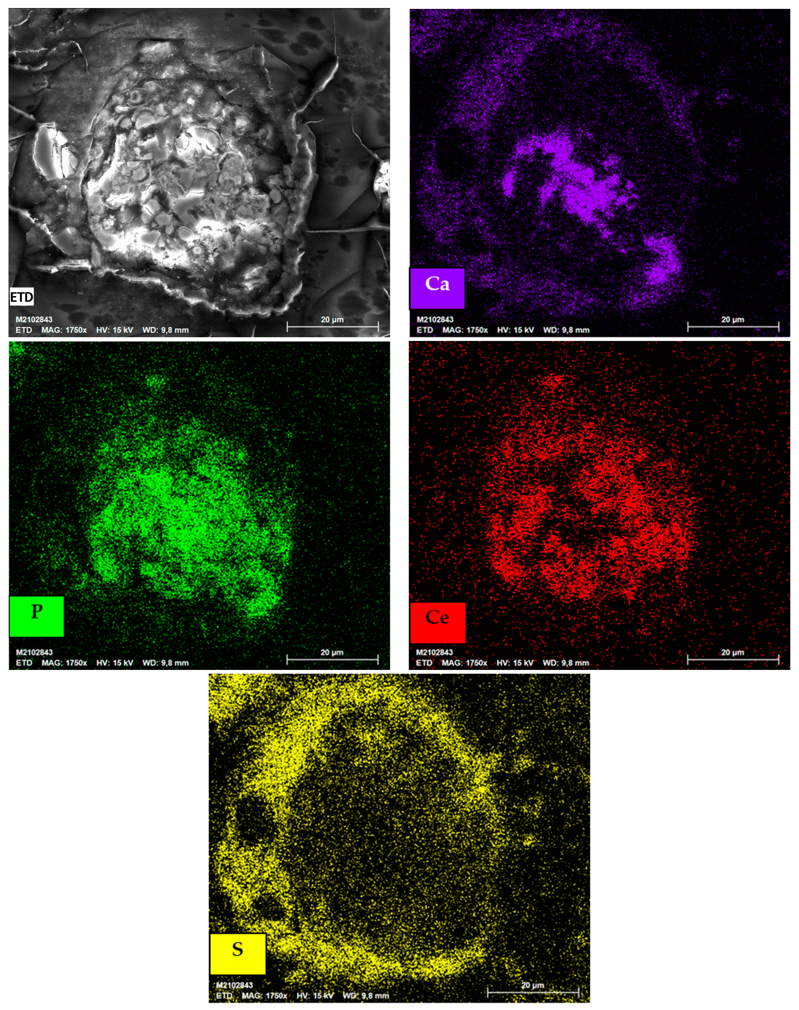 Minerals 13 00217 g009