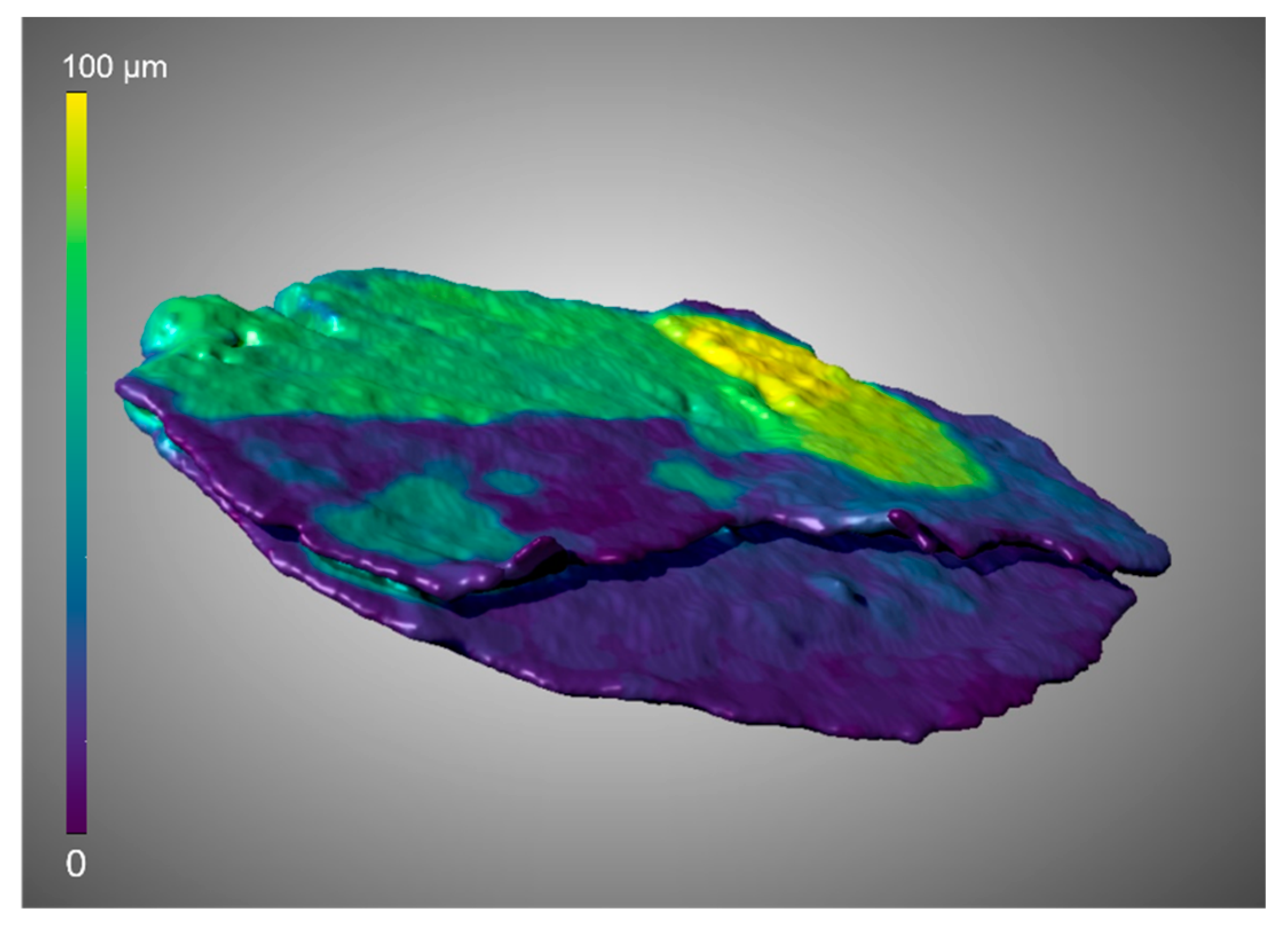 Minerals 13 00247 g010
