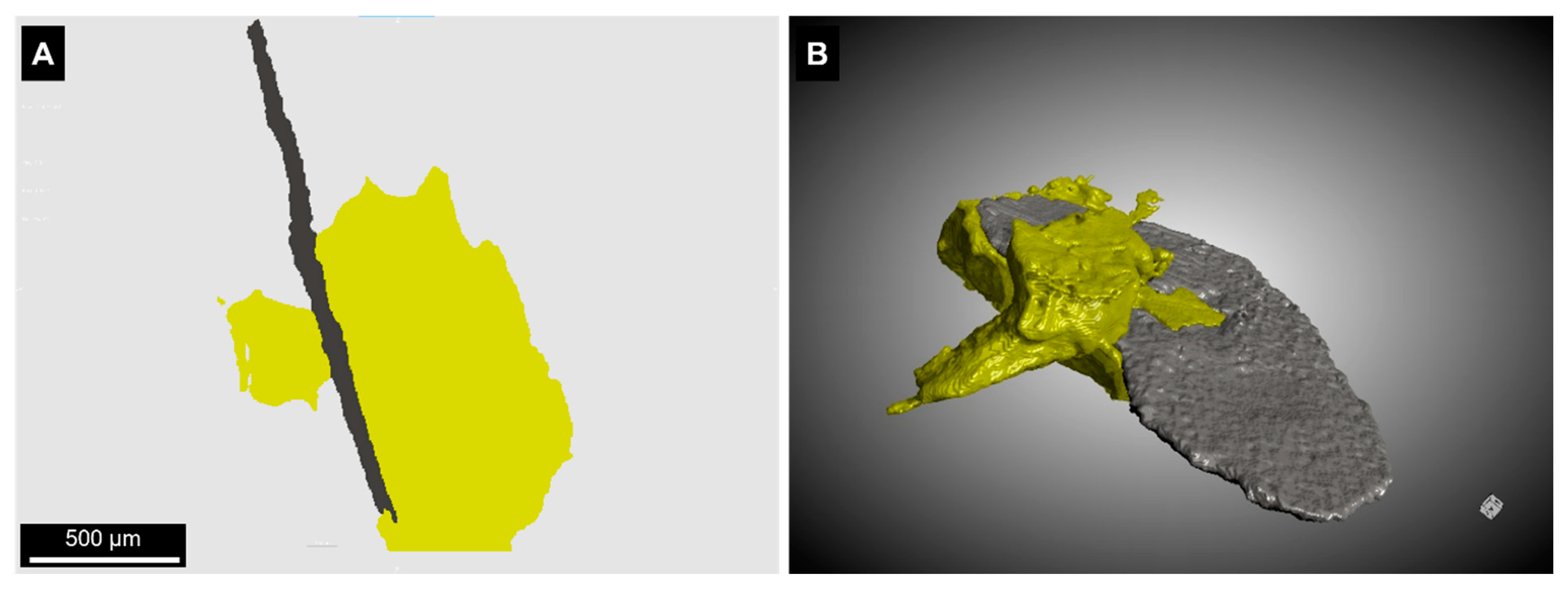 Minerals 13 00247 g011
