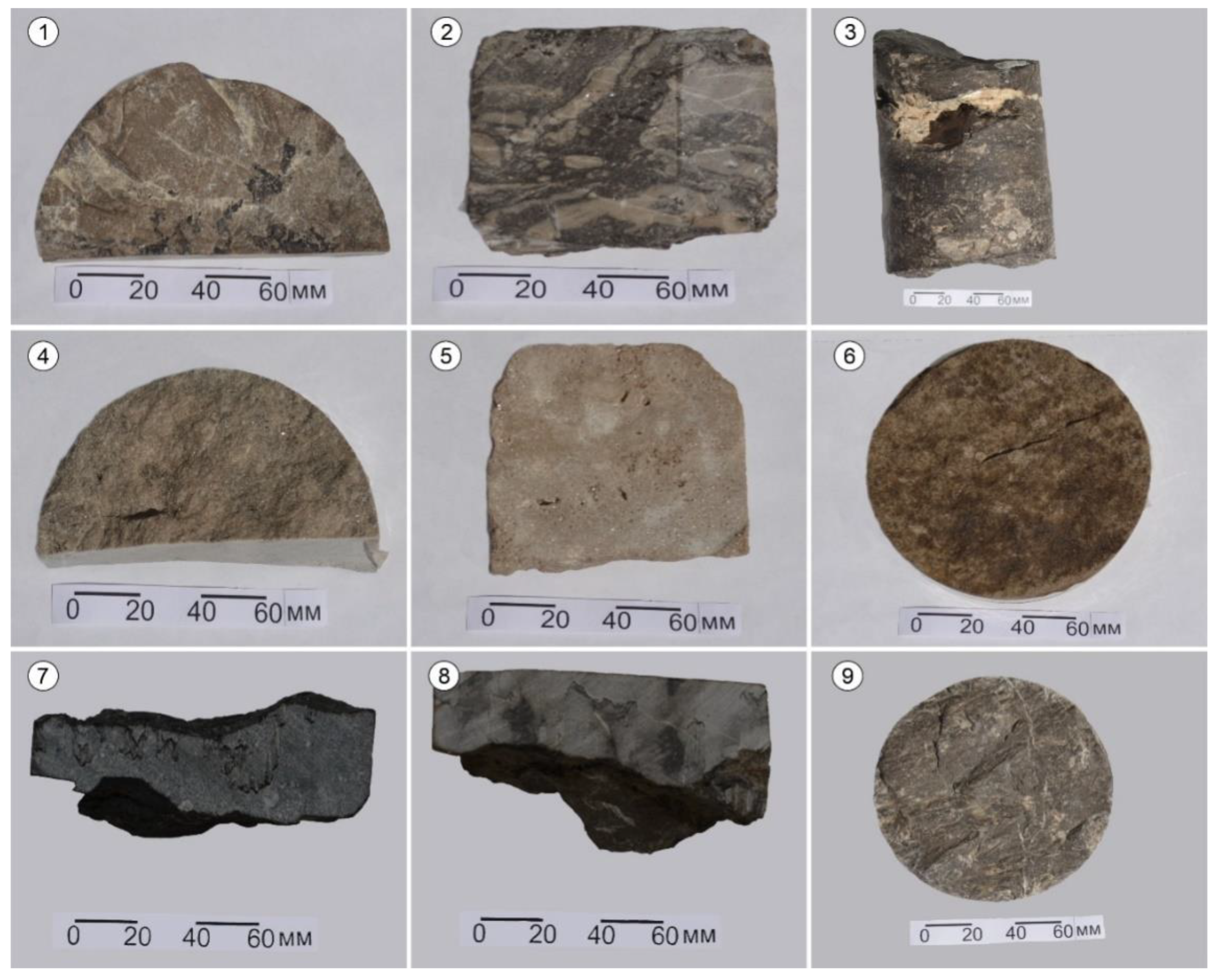 Minerals 13 00249 g004