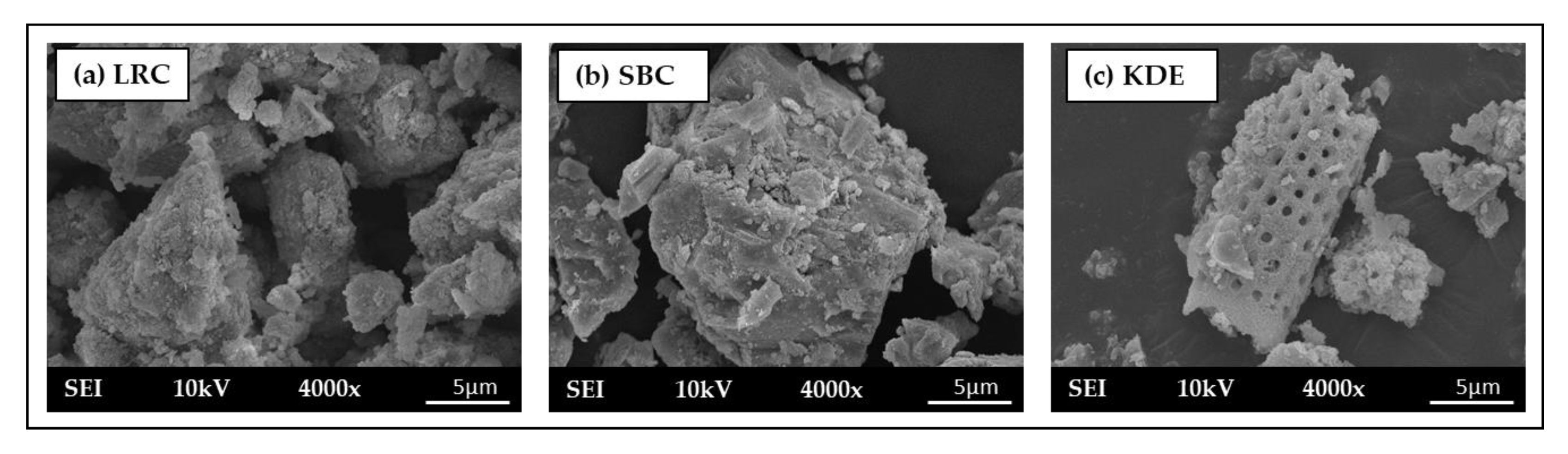 Minerals 13 00252 g007
