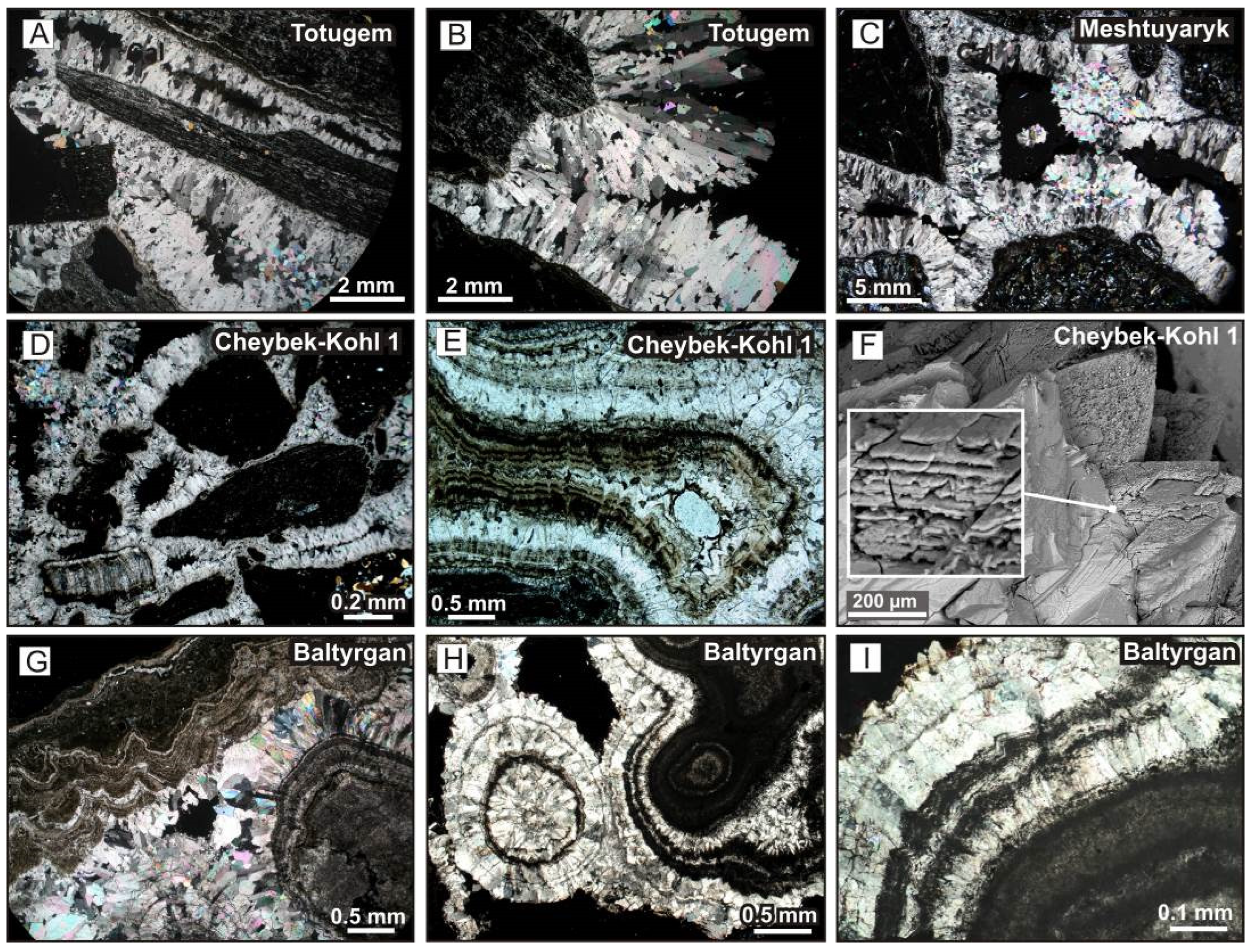 Minerals 13 00259 g012