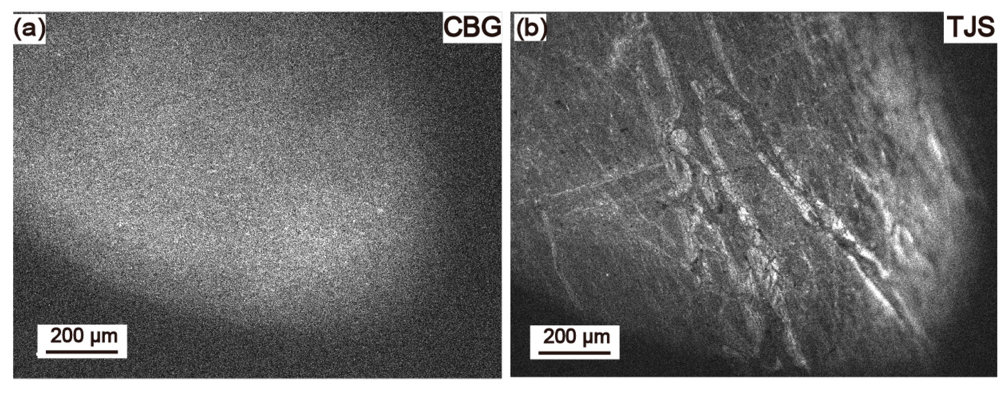 Minerals 13 00261 g006