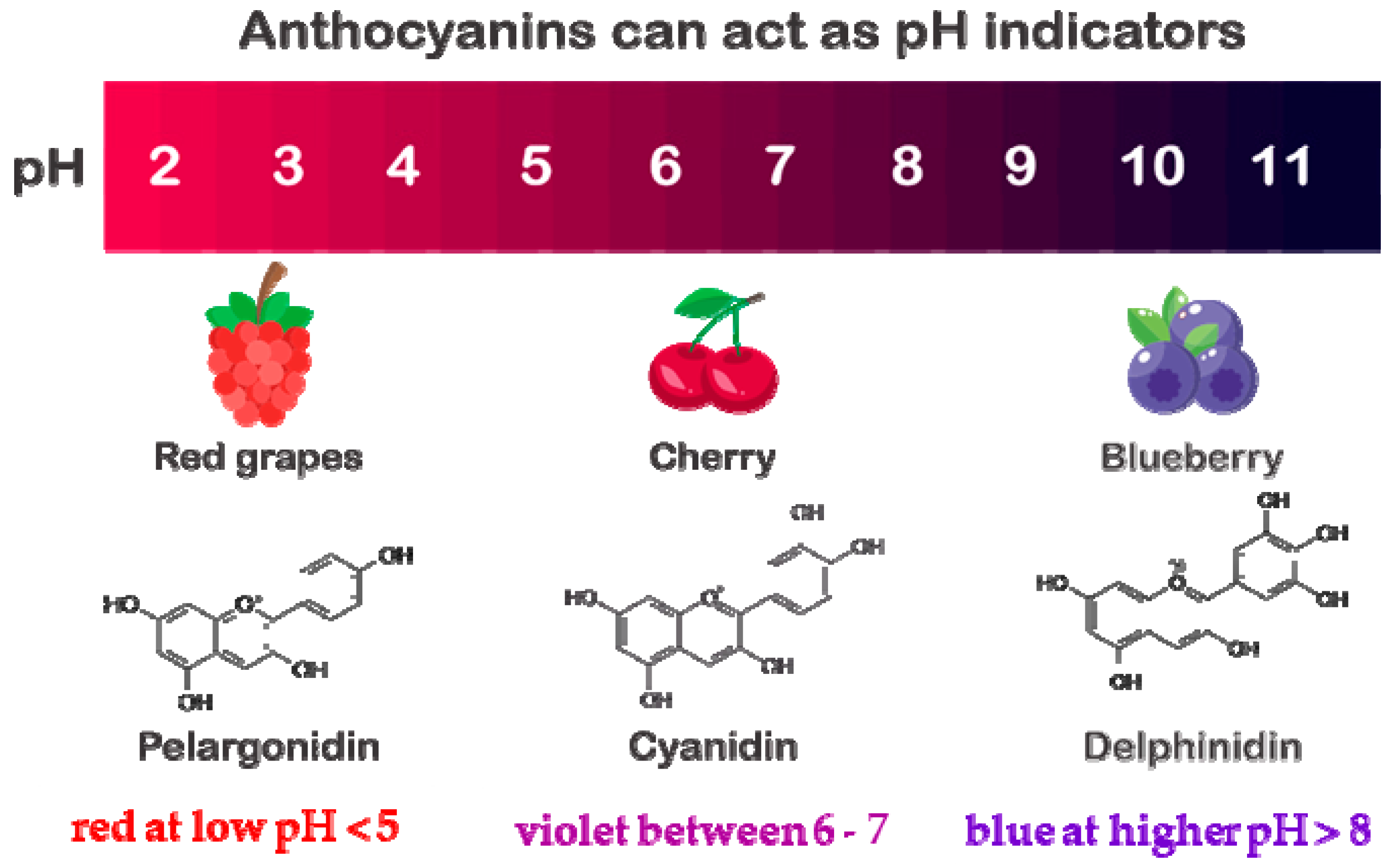Minerals 13 00268 g005