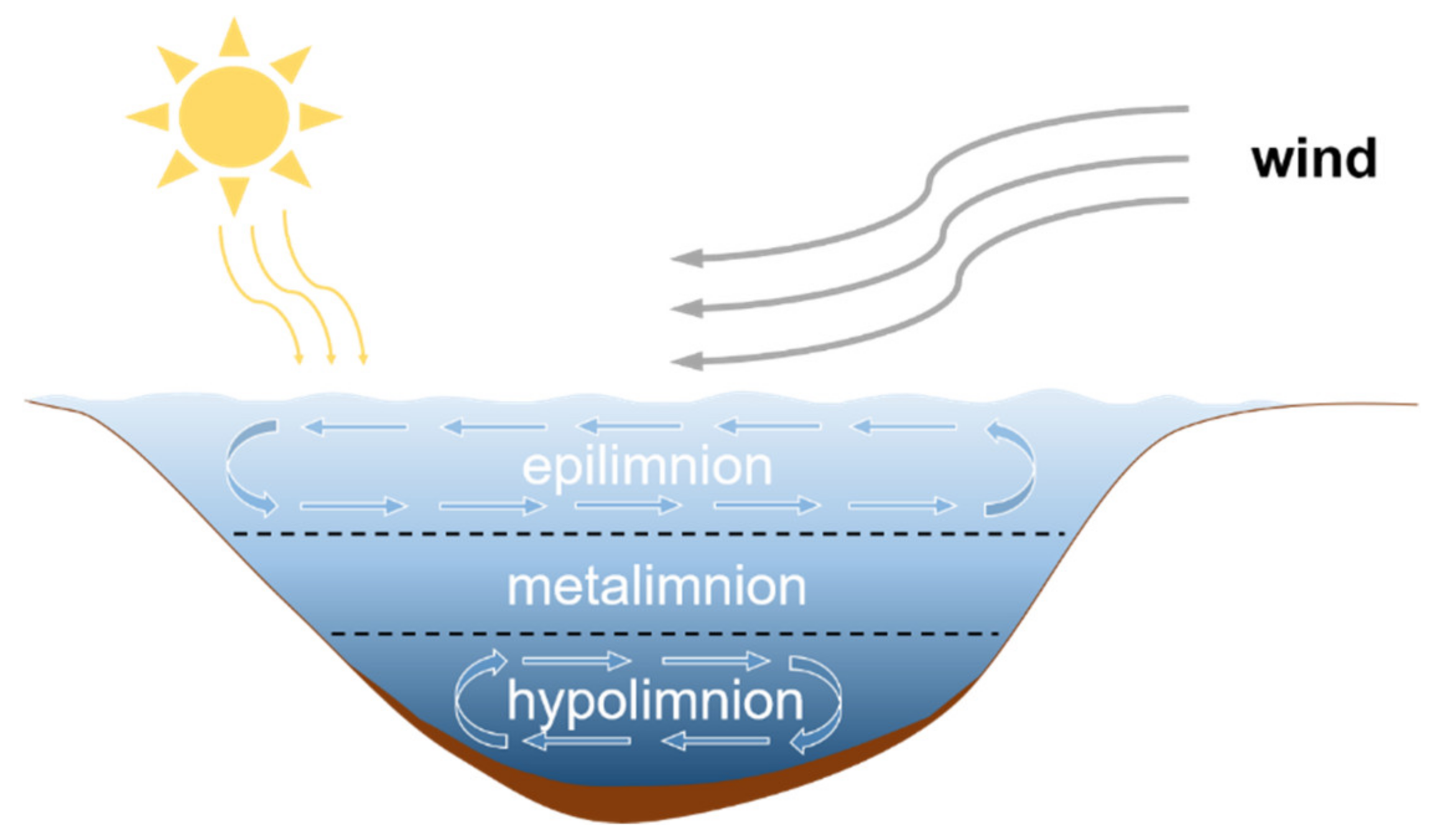 Minerals 13 00271 g004